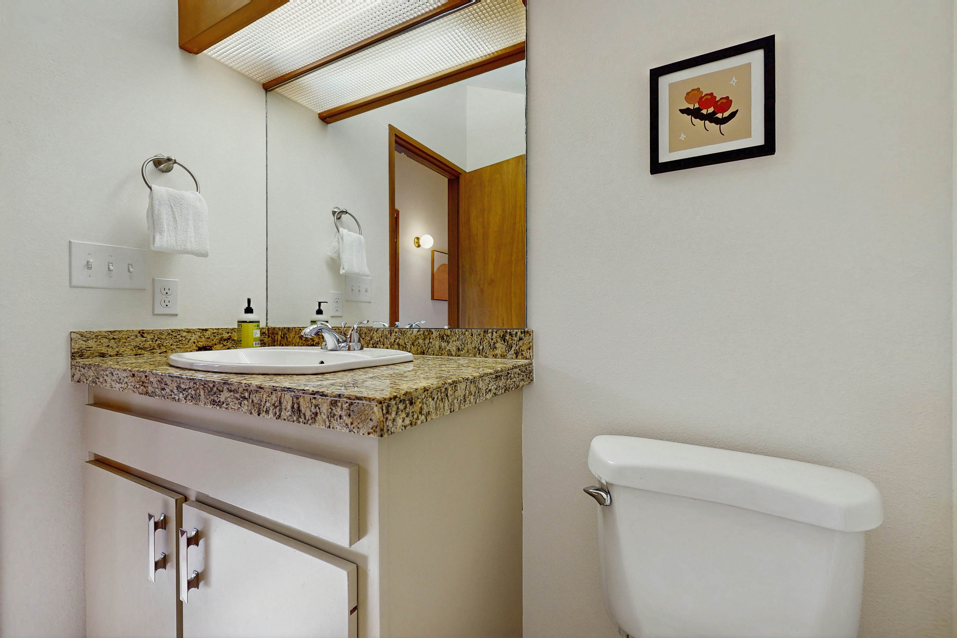 Adventures in Mount Bachelor #241