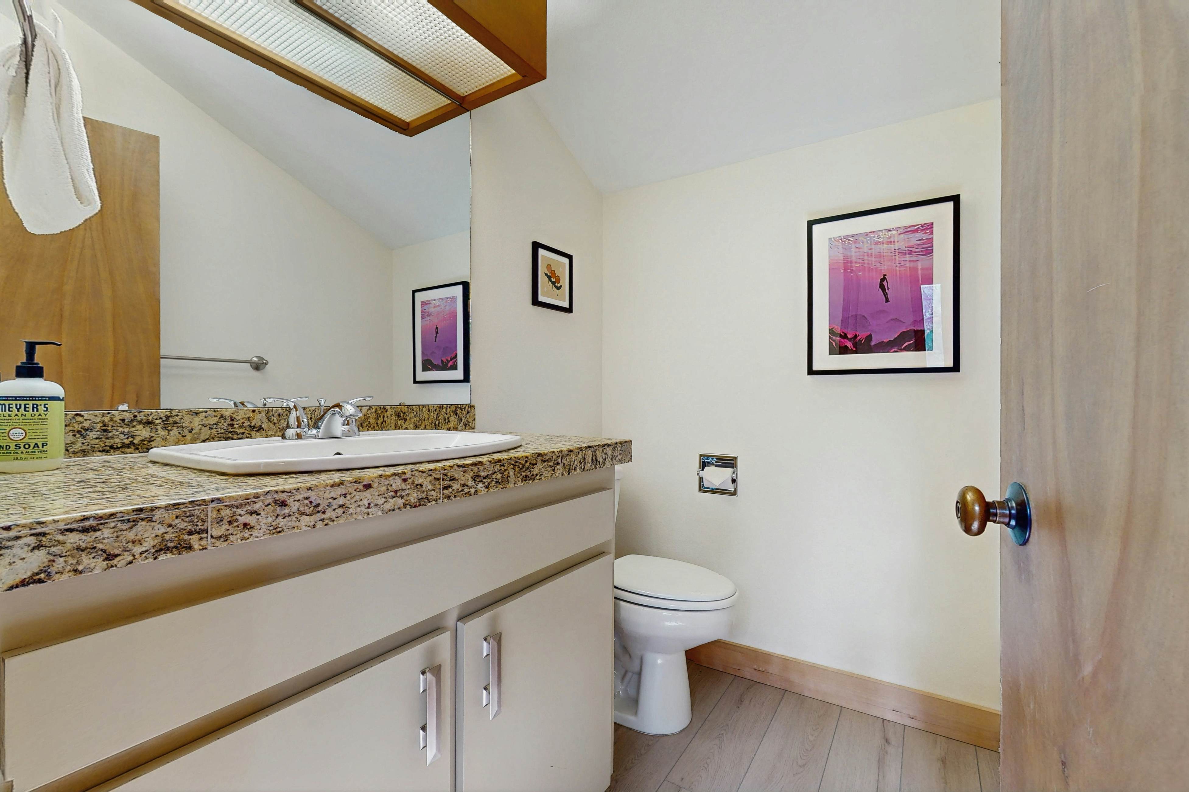 Adventures in Mount Bachelor #241