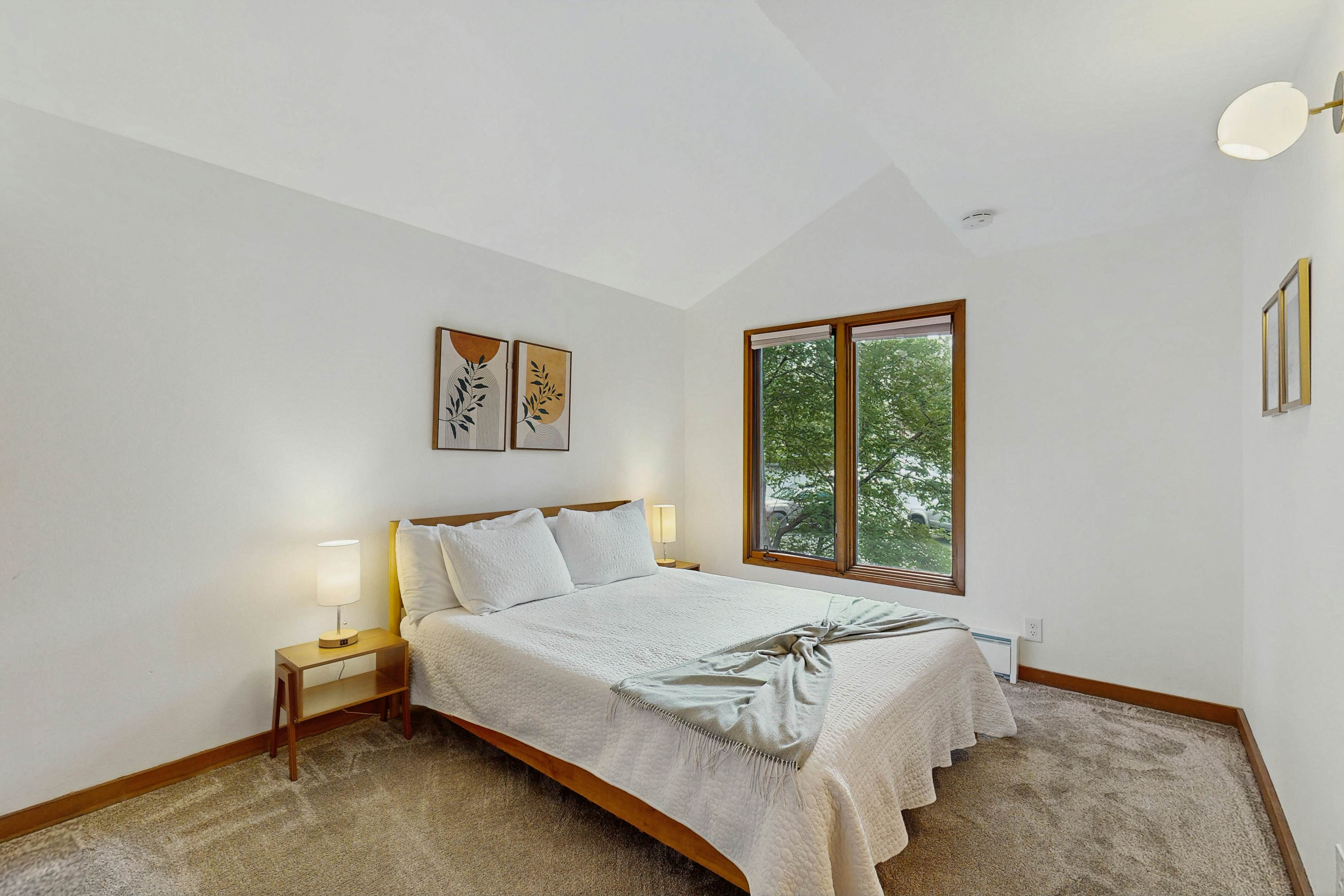 Adventures in Mount Bachelor #241