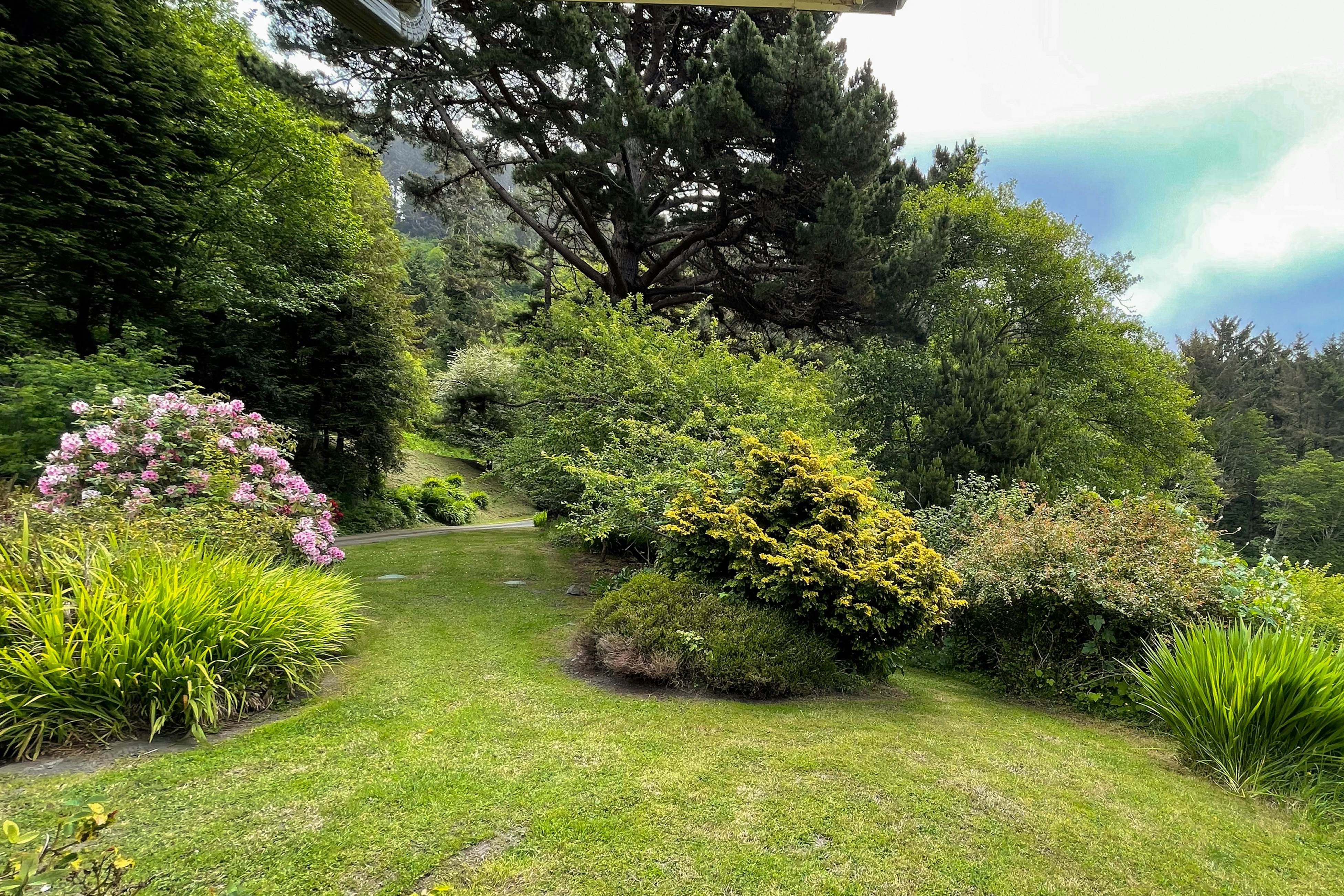 Freshwater Lagoon Retreat