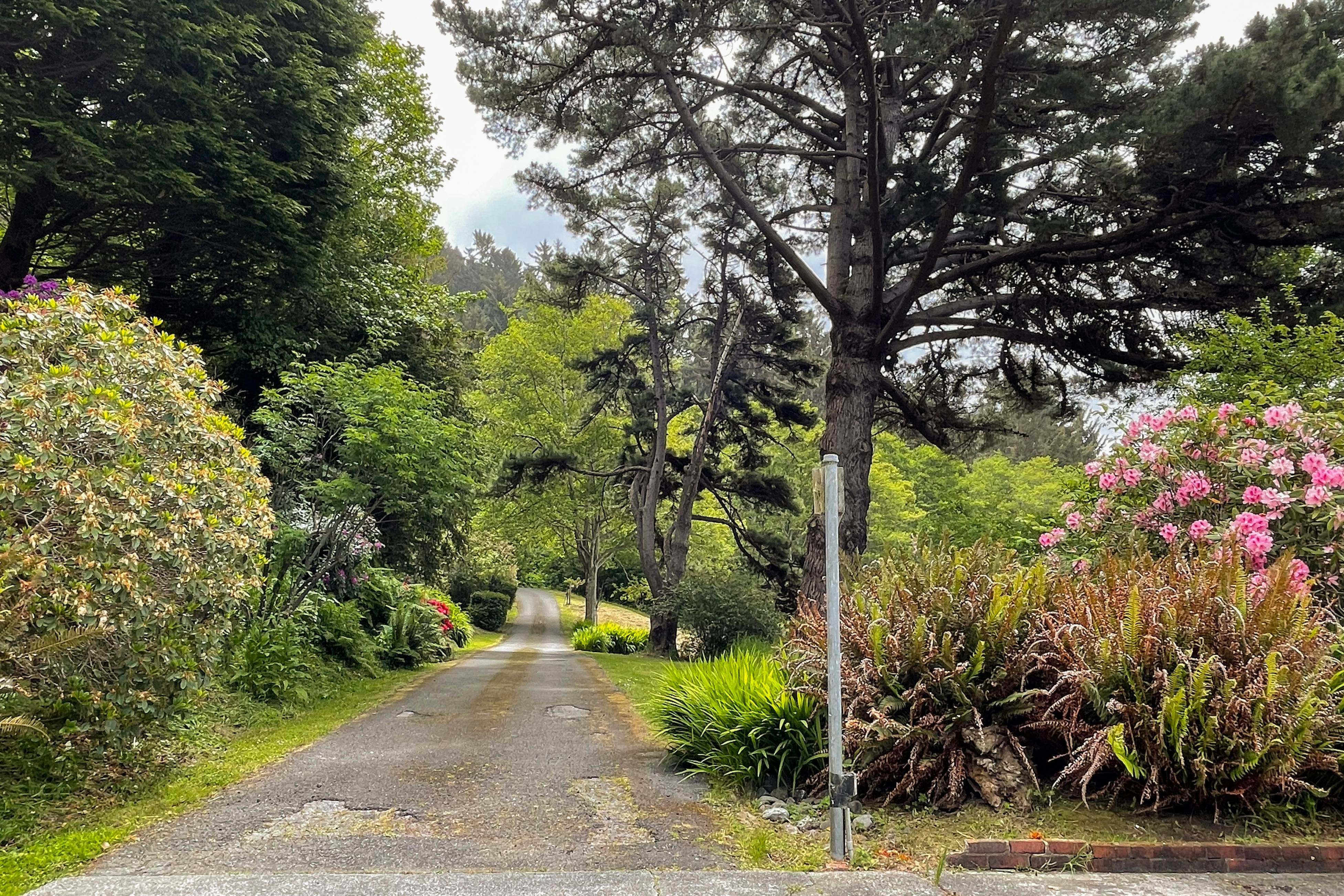 Freshwater Lagoon Retreat