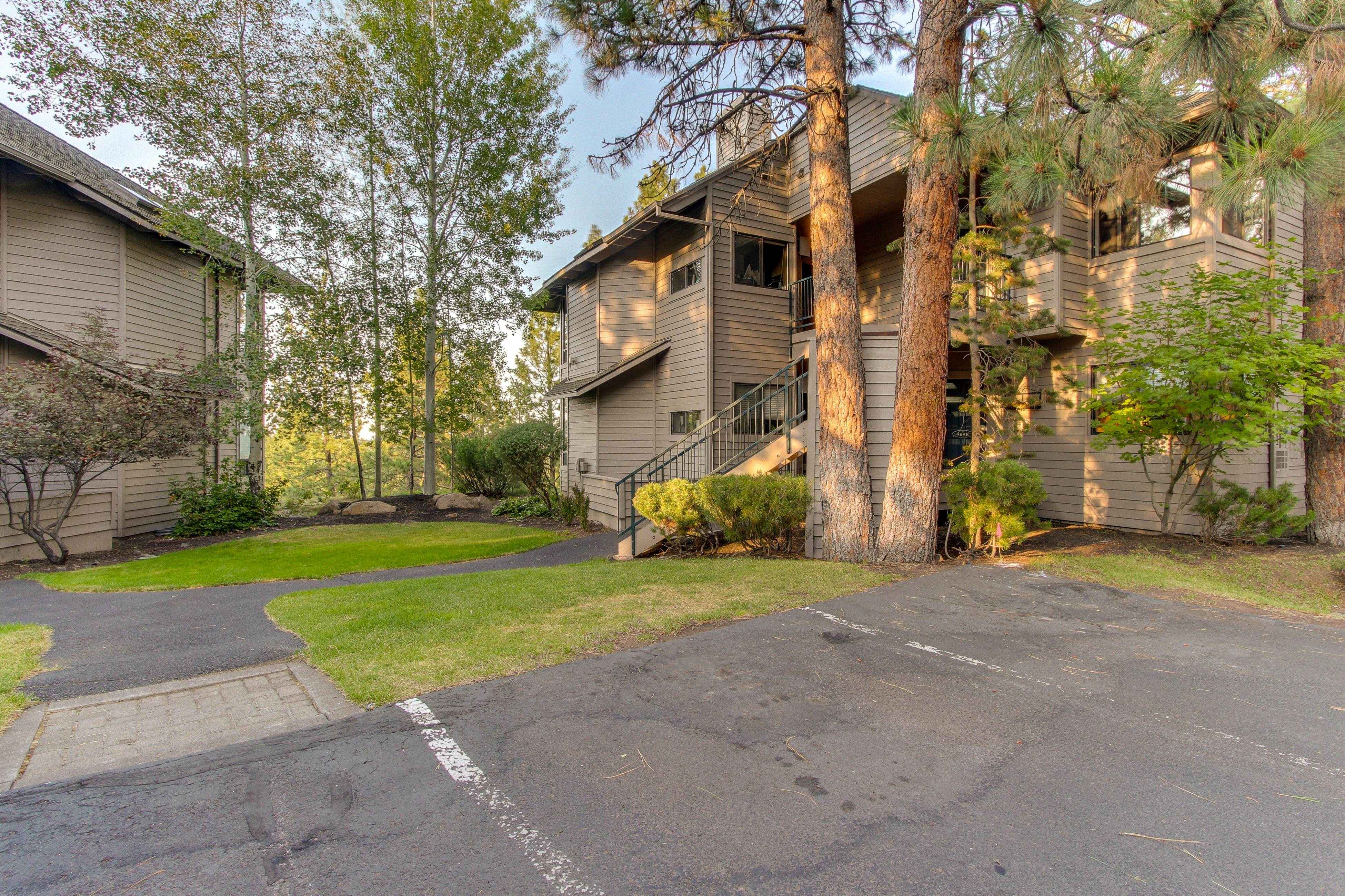 Adventures in Mount Bachelor #241