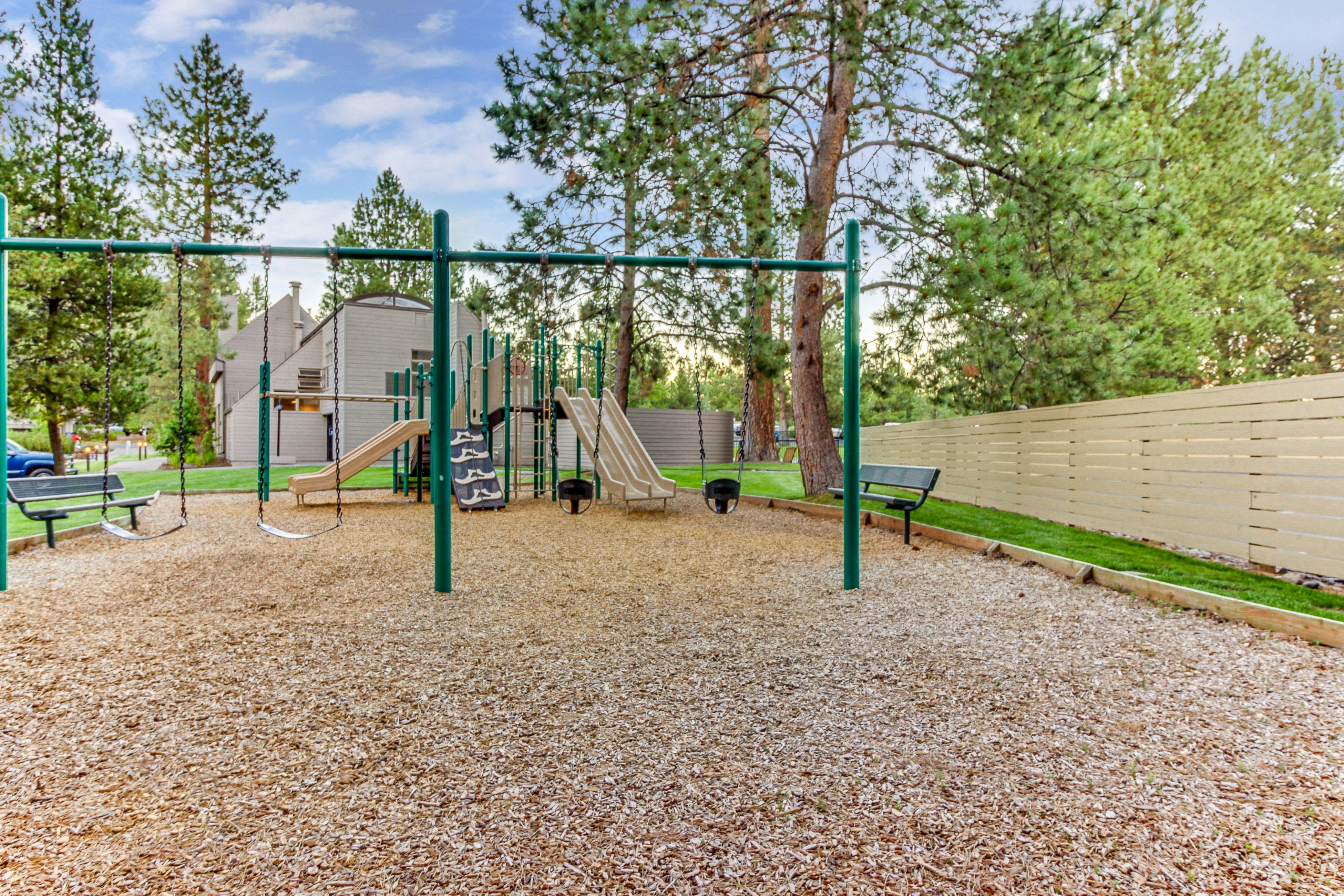 Adventures in Mount Bachelor #241