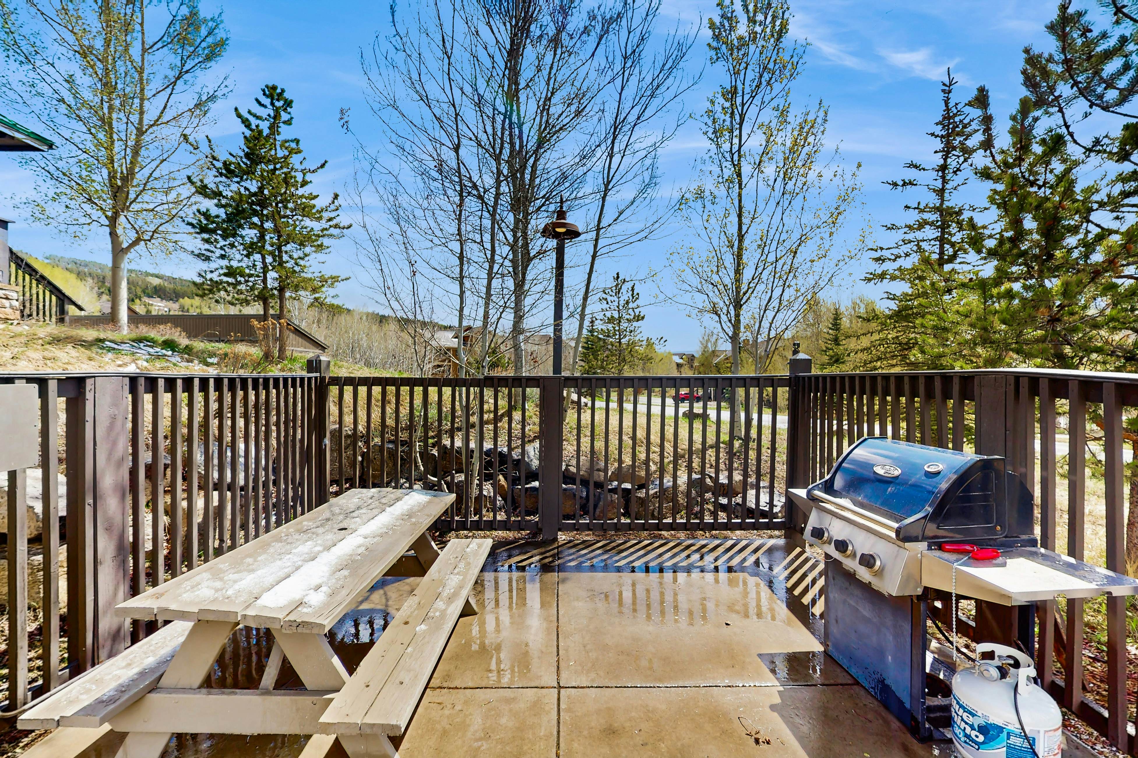 Kicking Horse Lodges 4-205