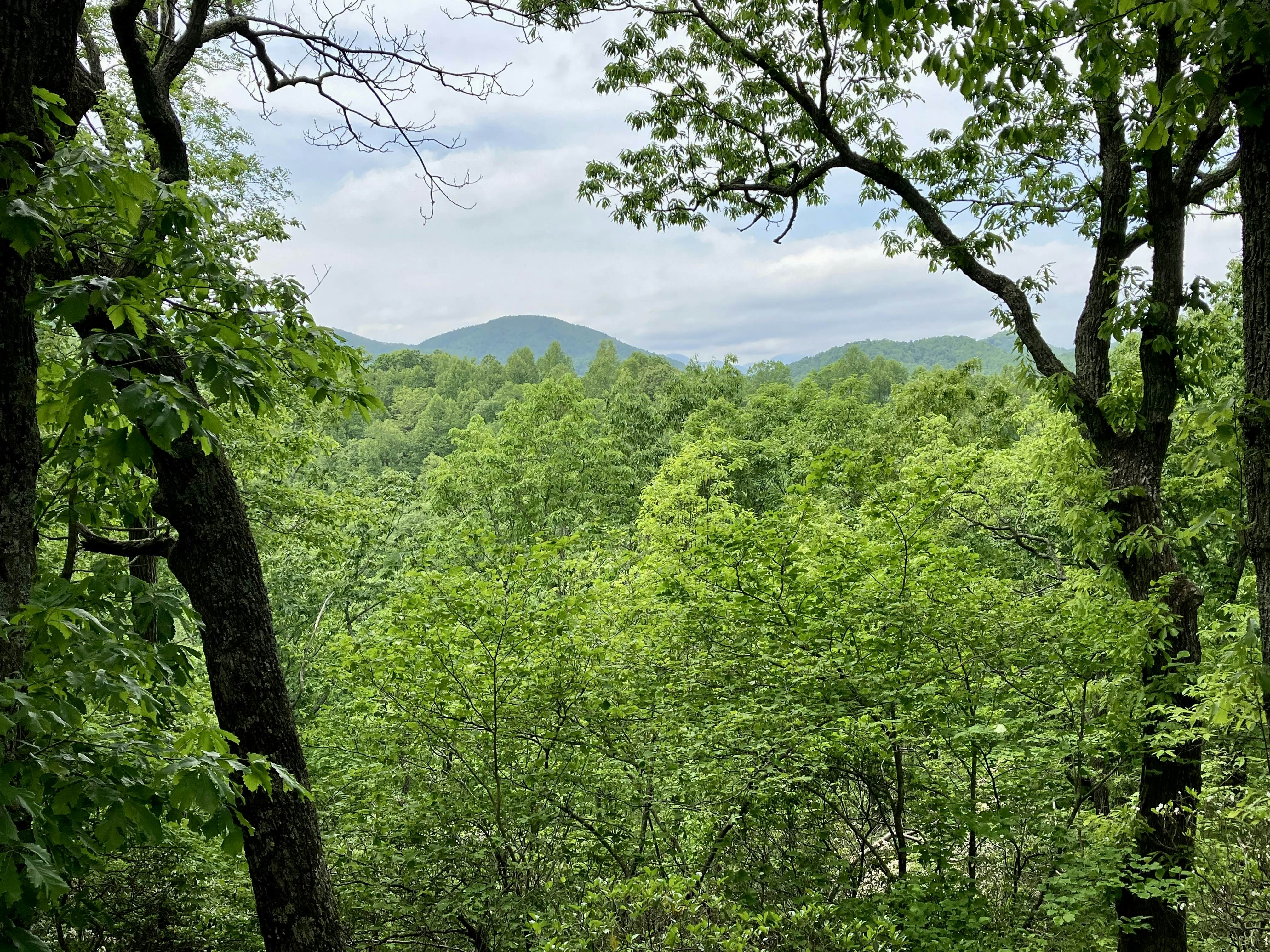 Gold Creek Mountain Retreat