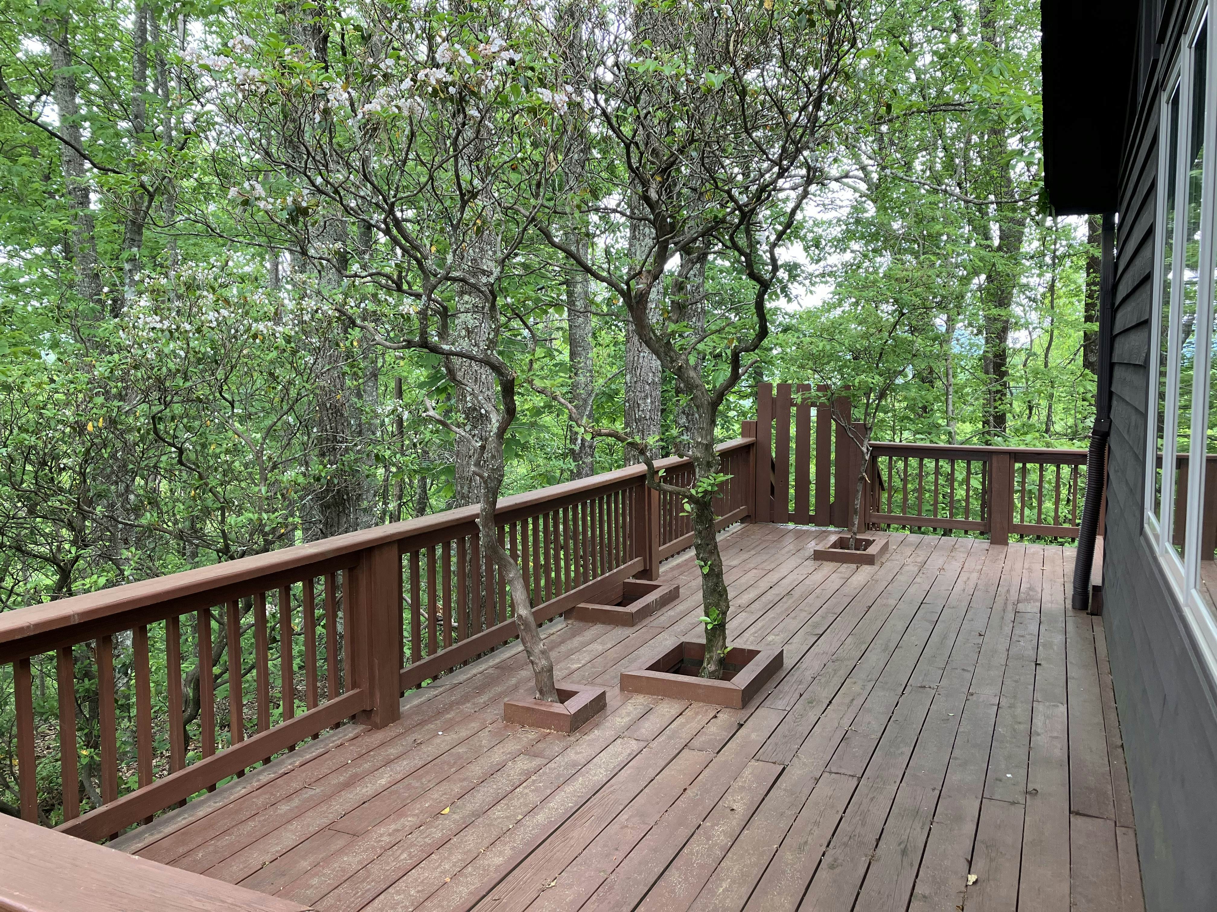 Gold Creek Mountain Retreat