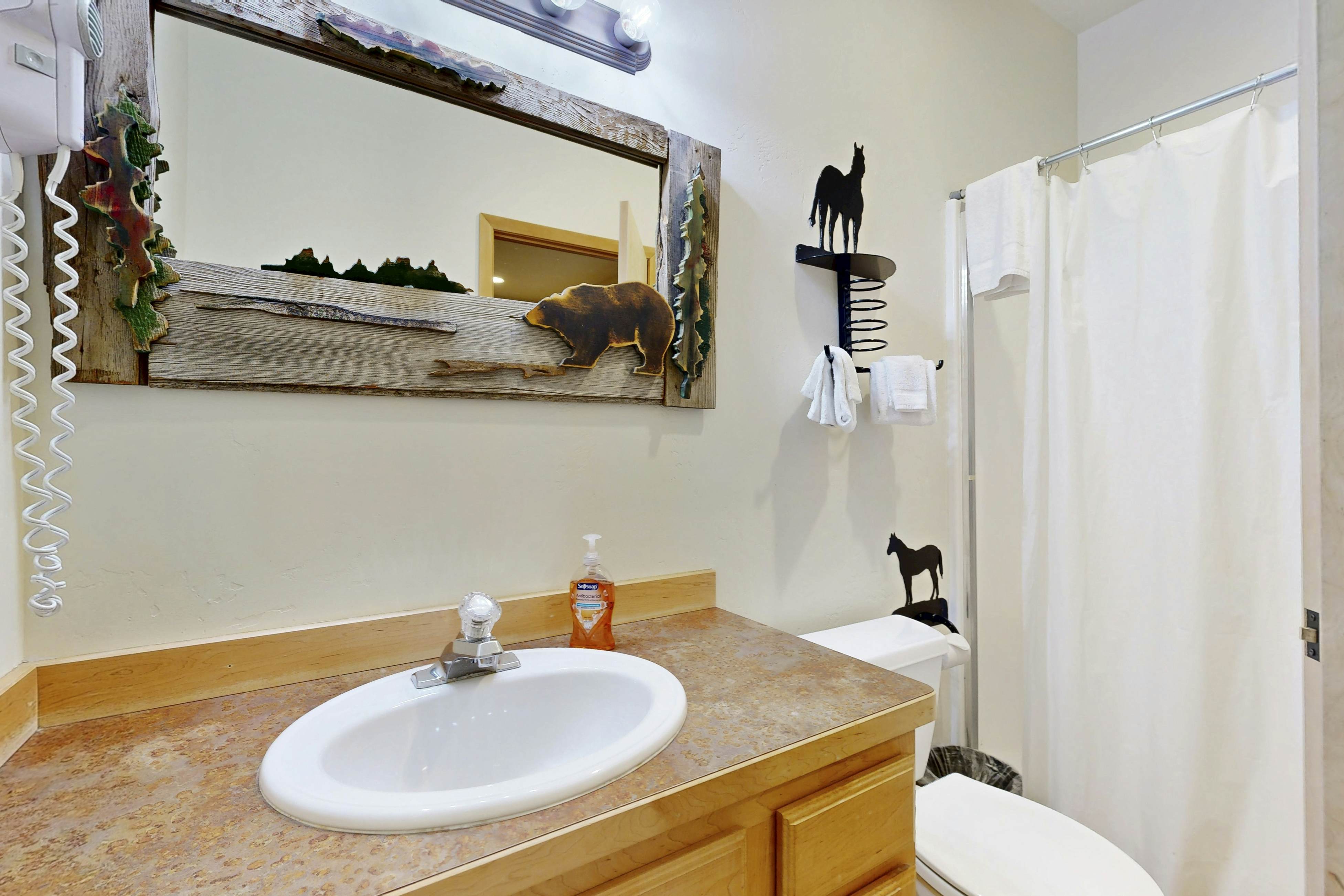 Ski Slopes and Scenic Views