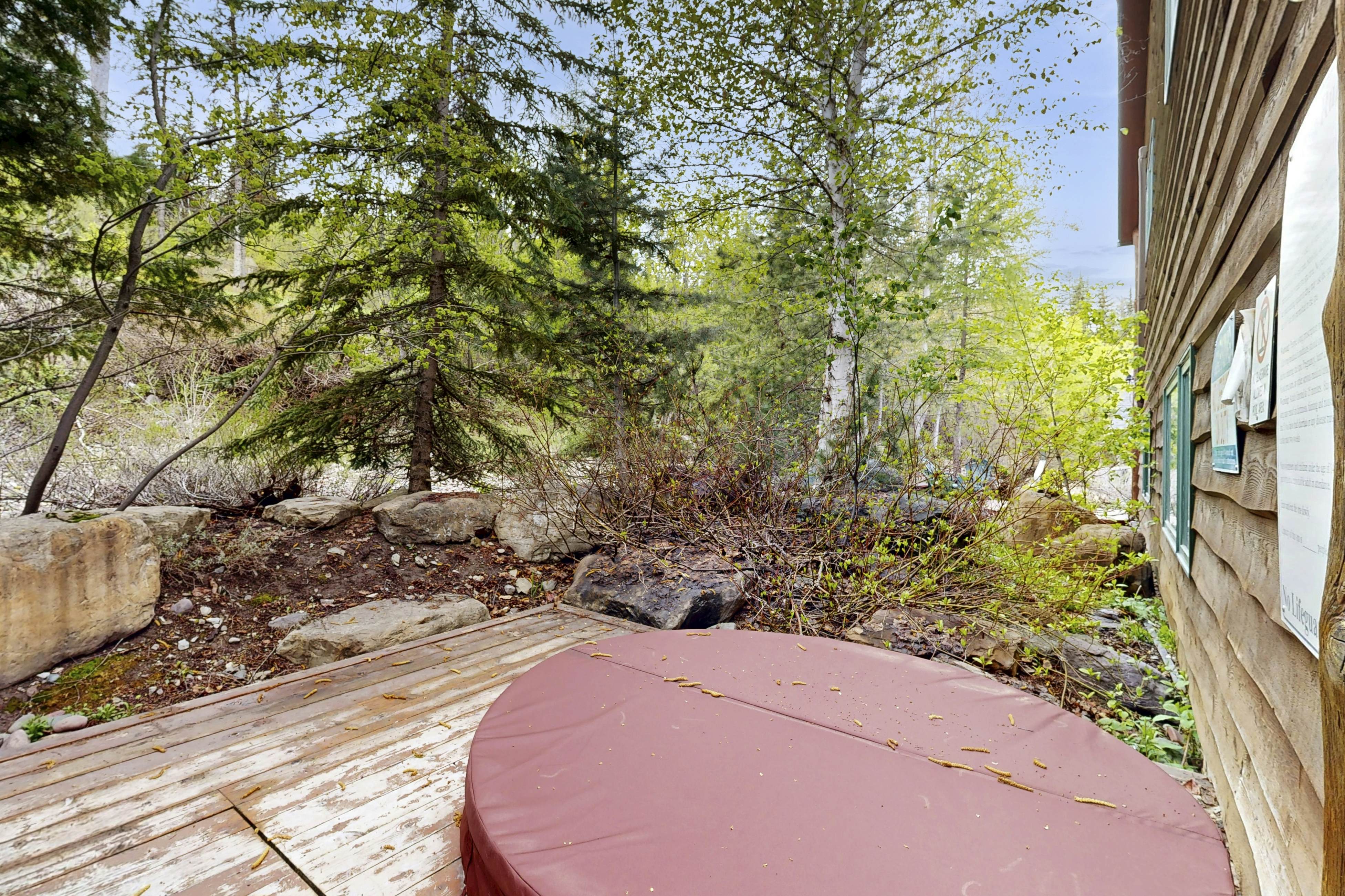 Ski Slopes and Scenic Views