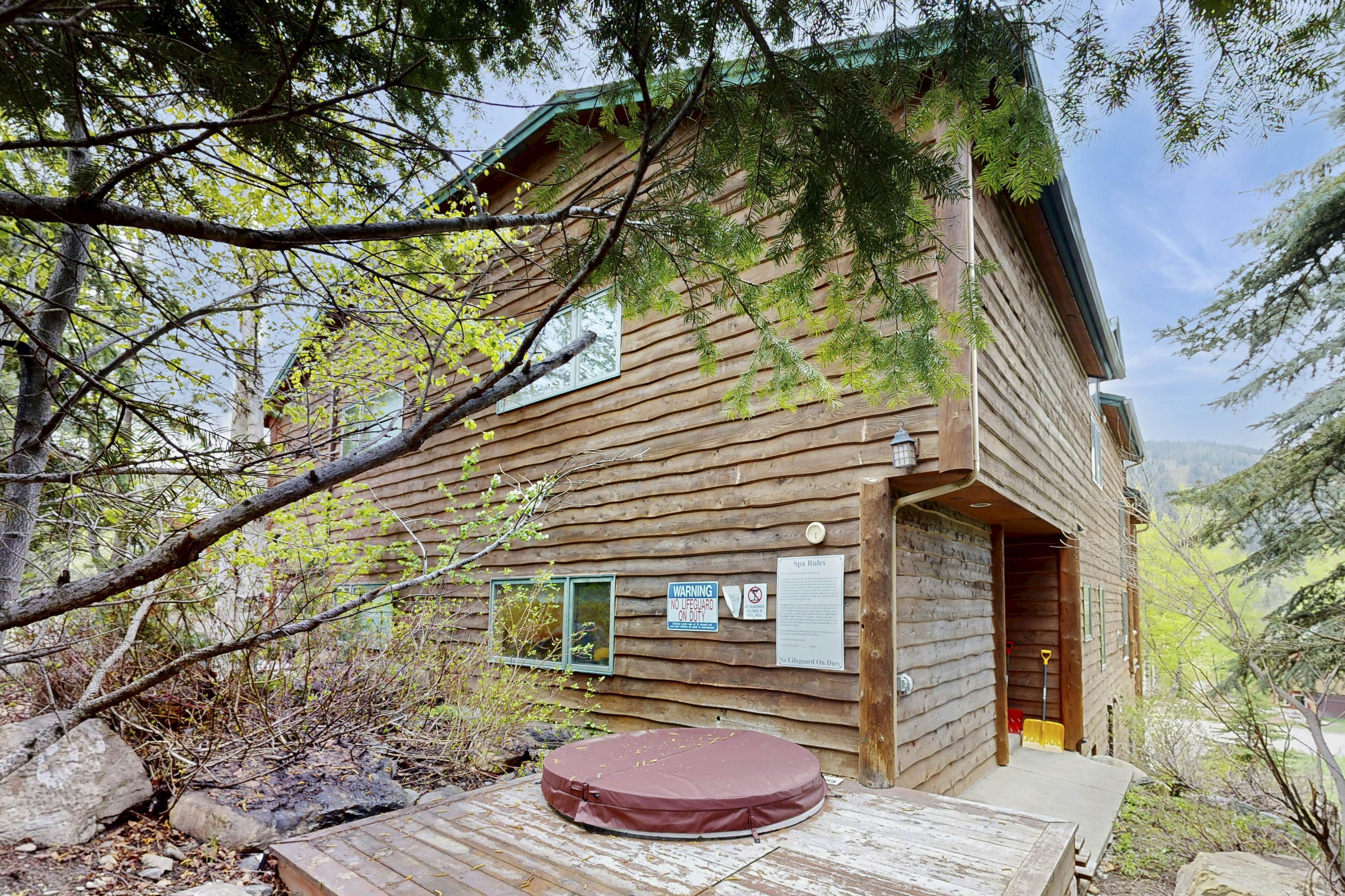 Ski Slopes and Scenic Views