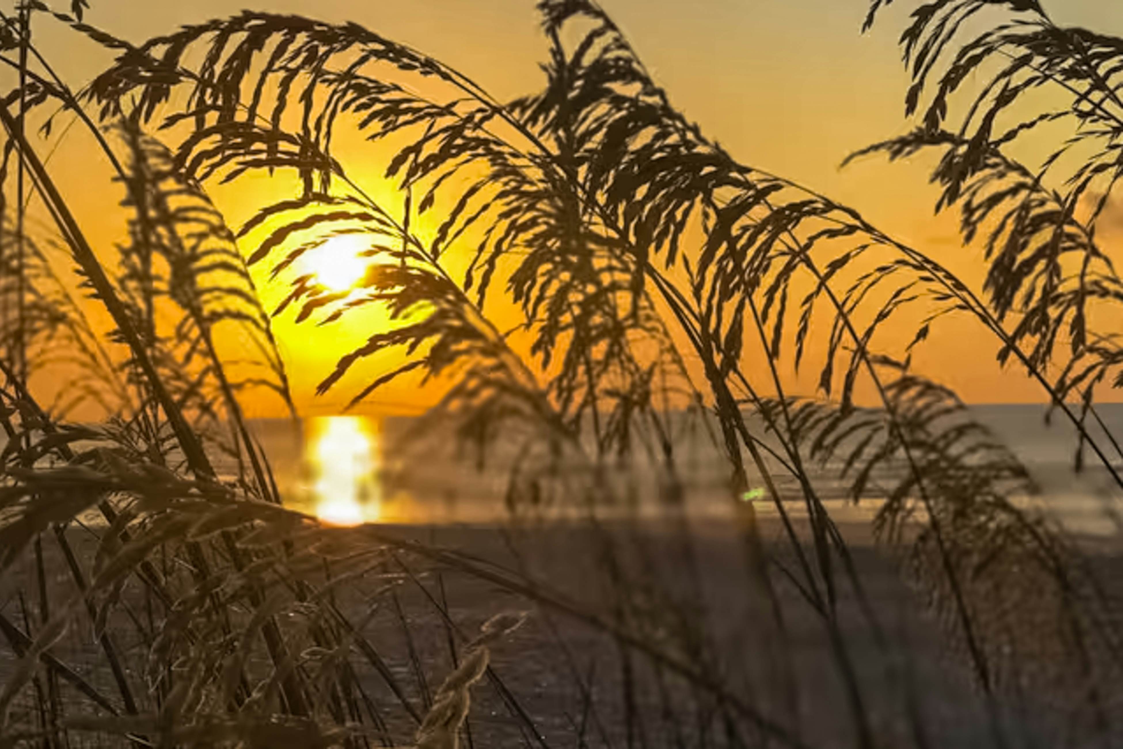 Hilton Head Resort 1108 