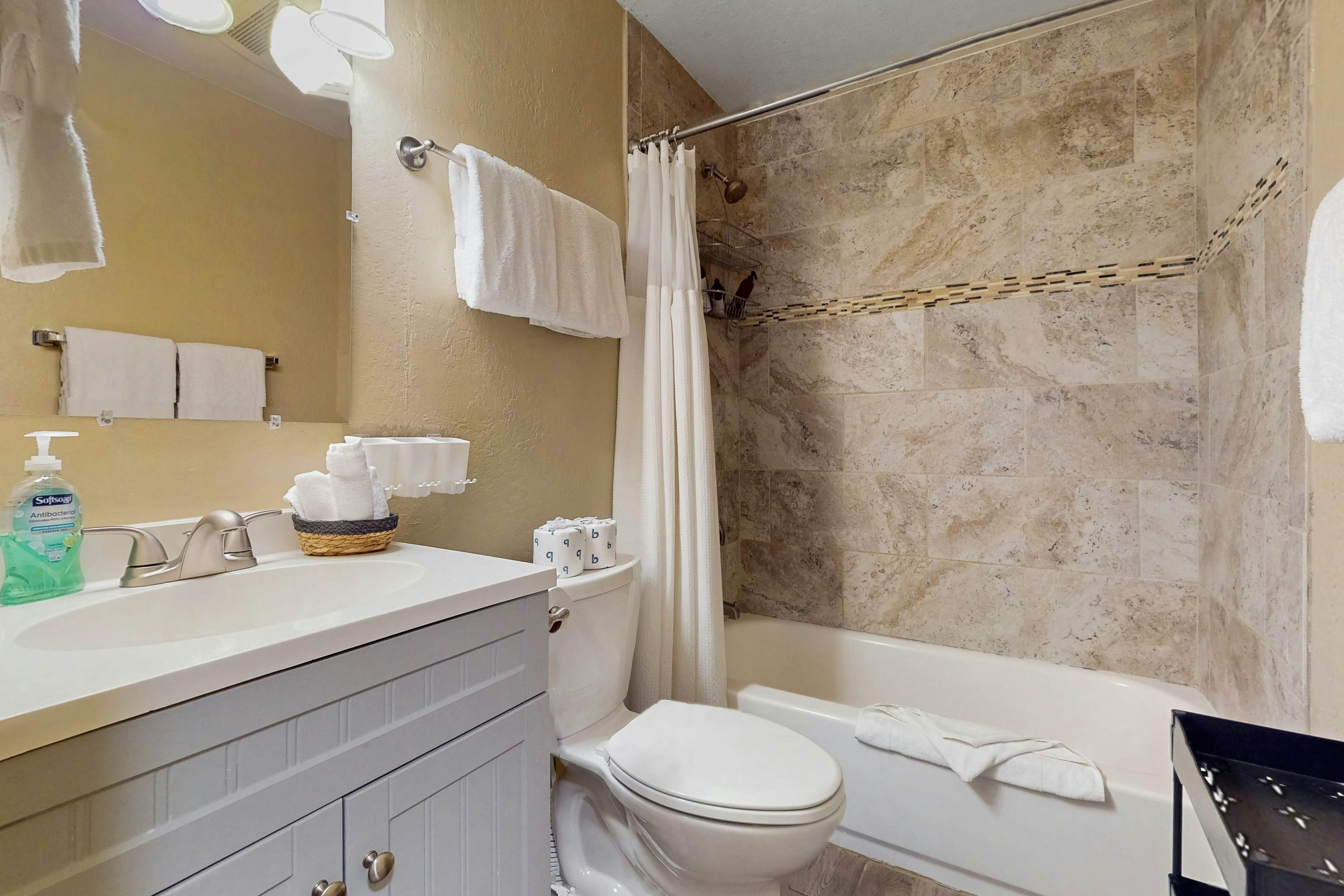 11529 Snowpeak Way #619