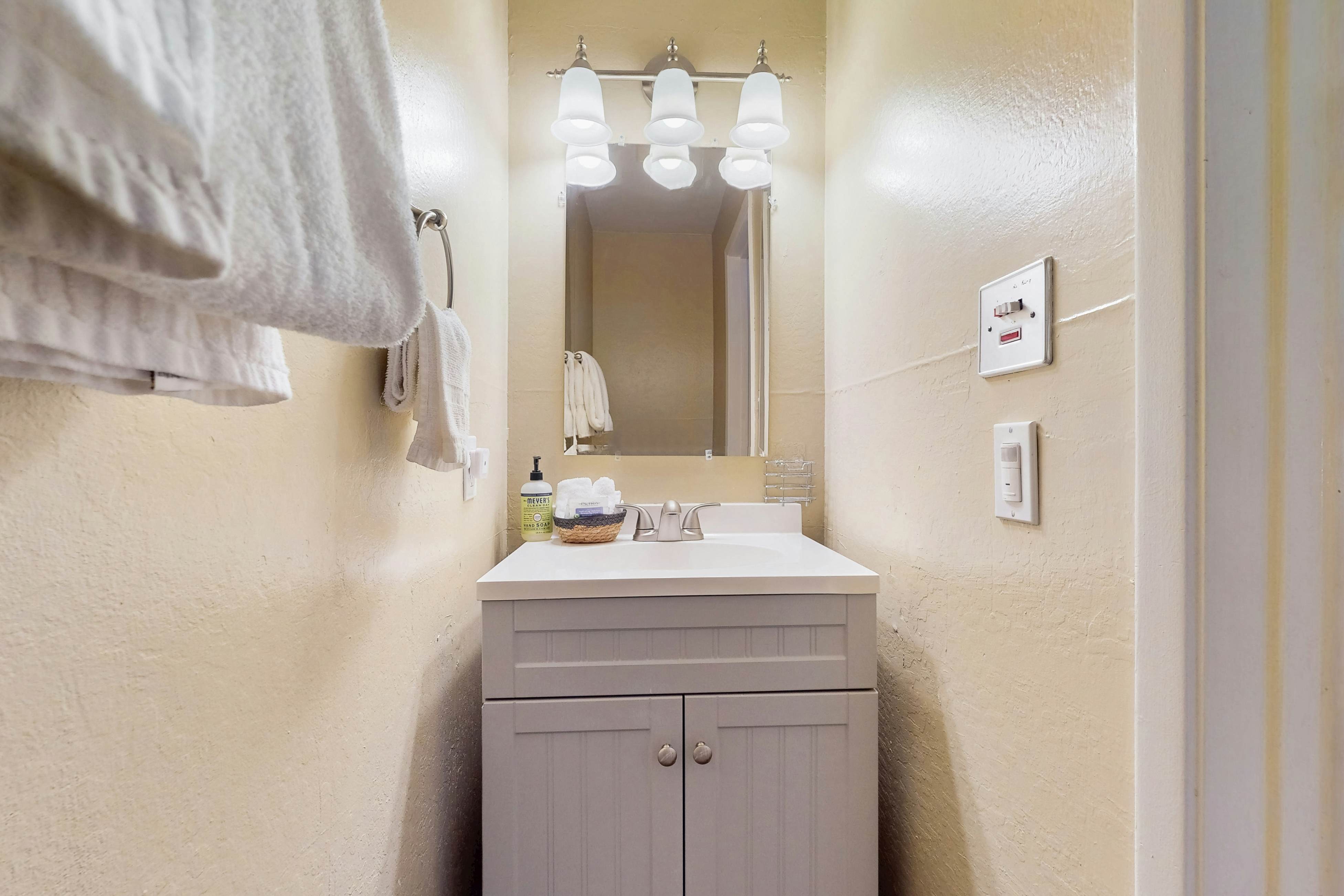 11529 Snowpeak Way #619