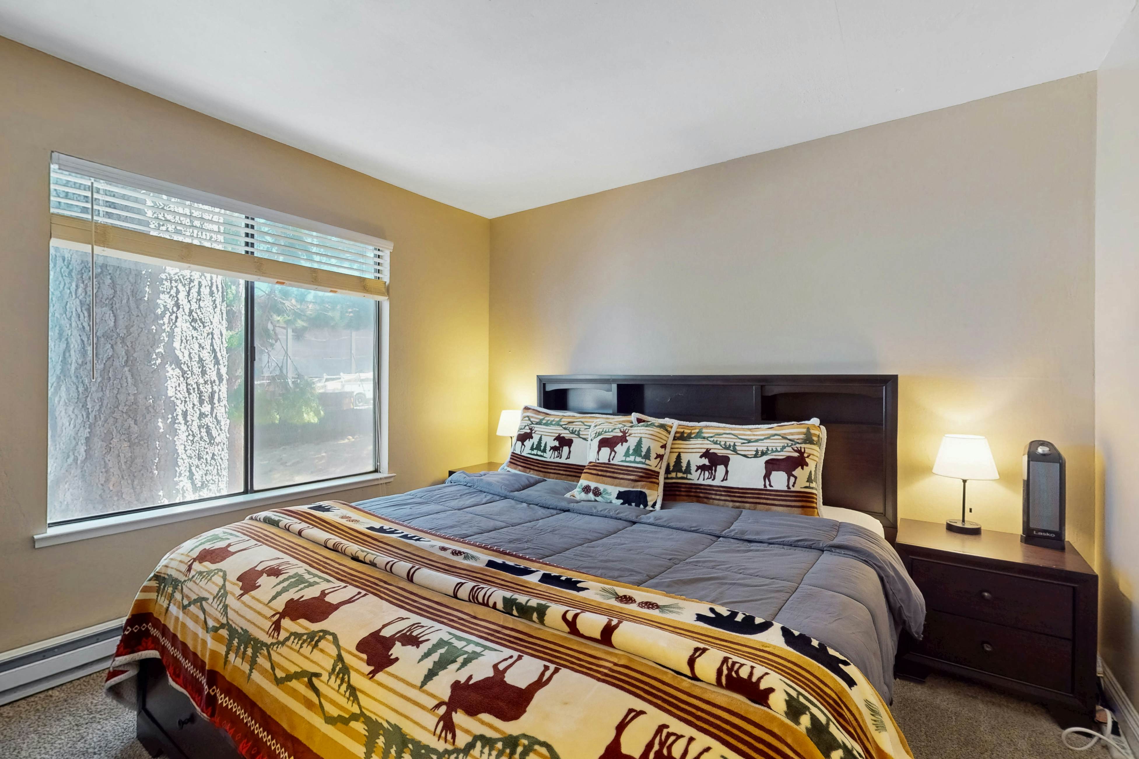 11529 Snowpeak Way #619