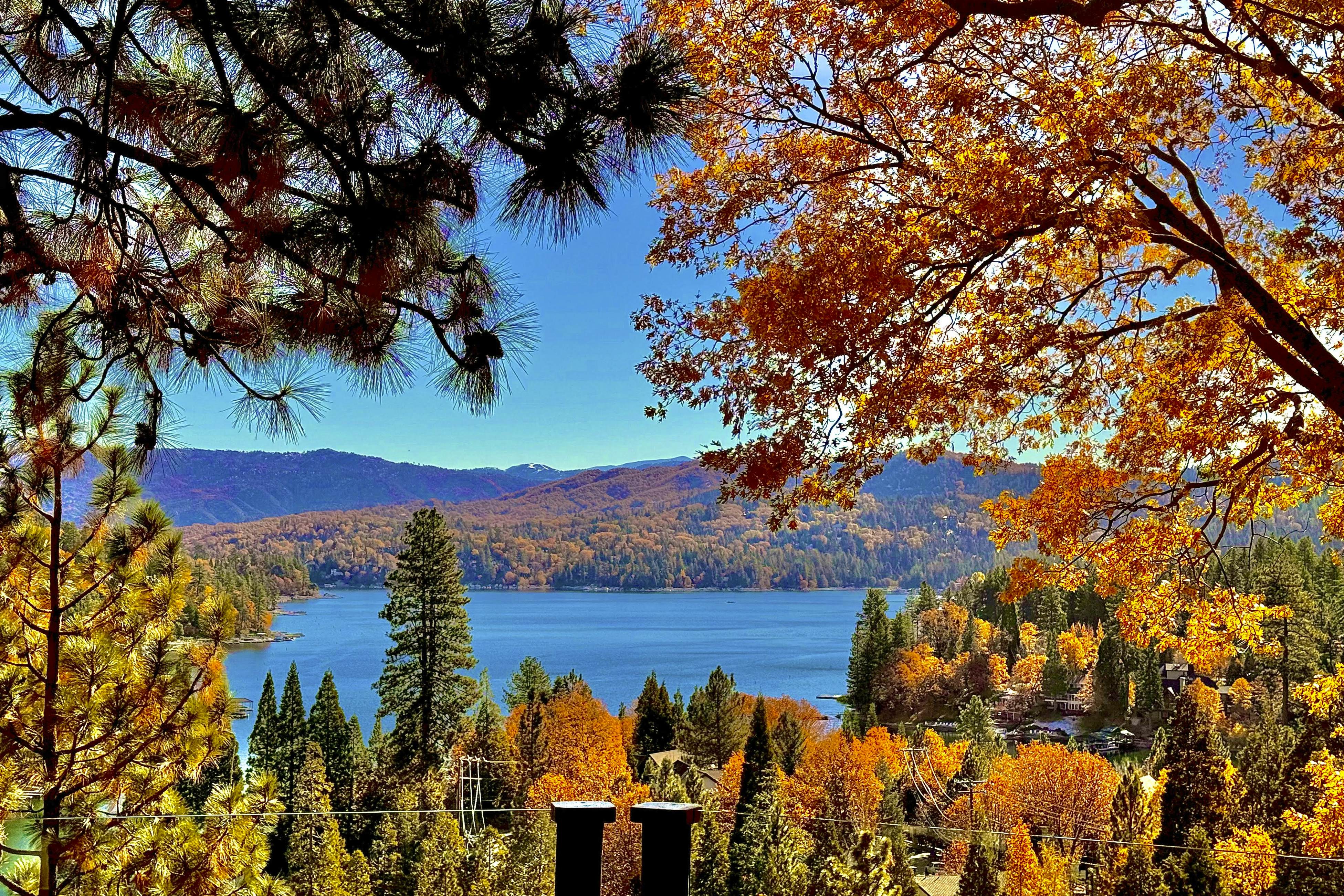 Surreal Feel Lakeview Chalet 