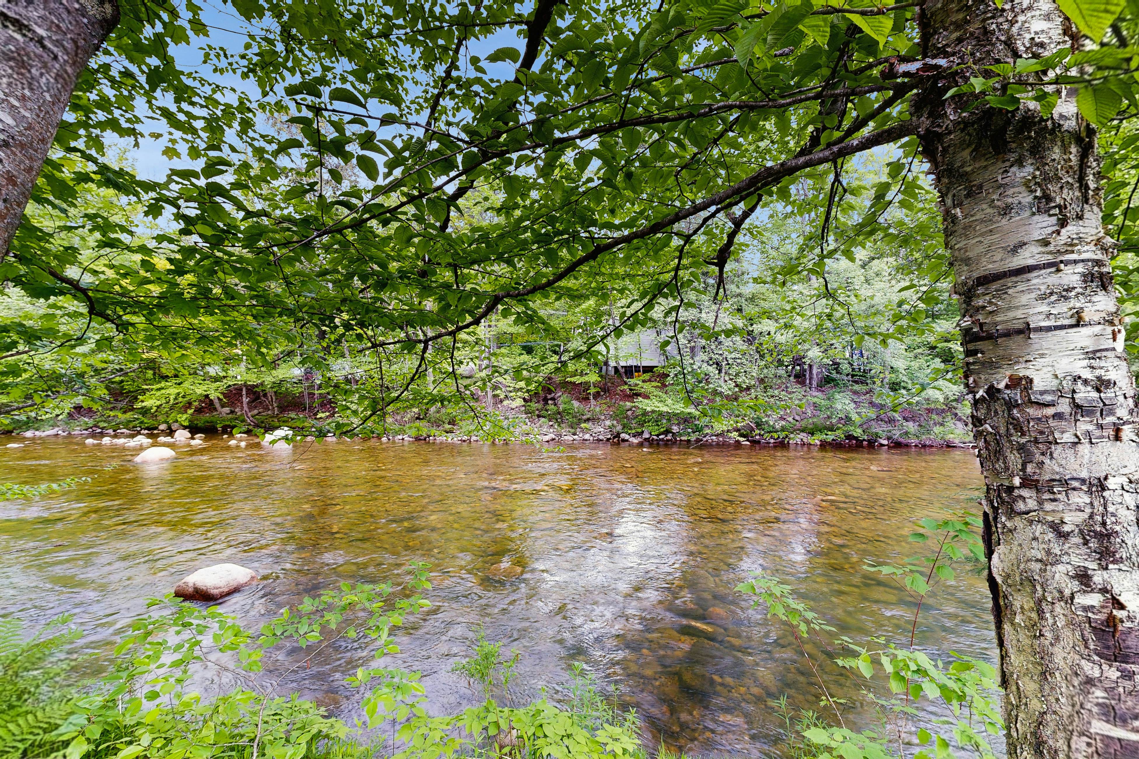 Riverbank Motel Room #11