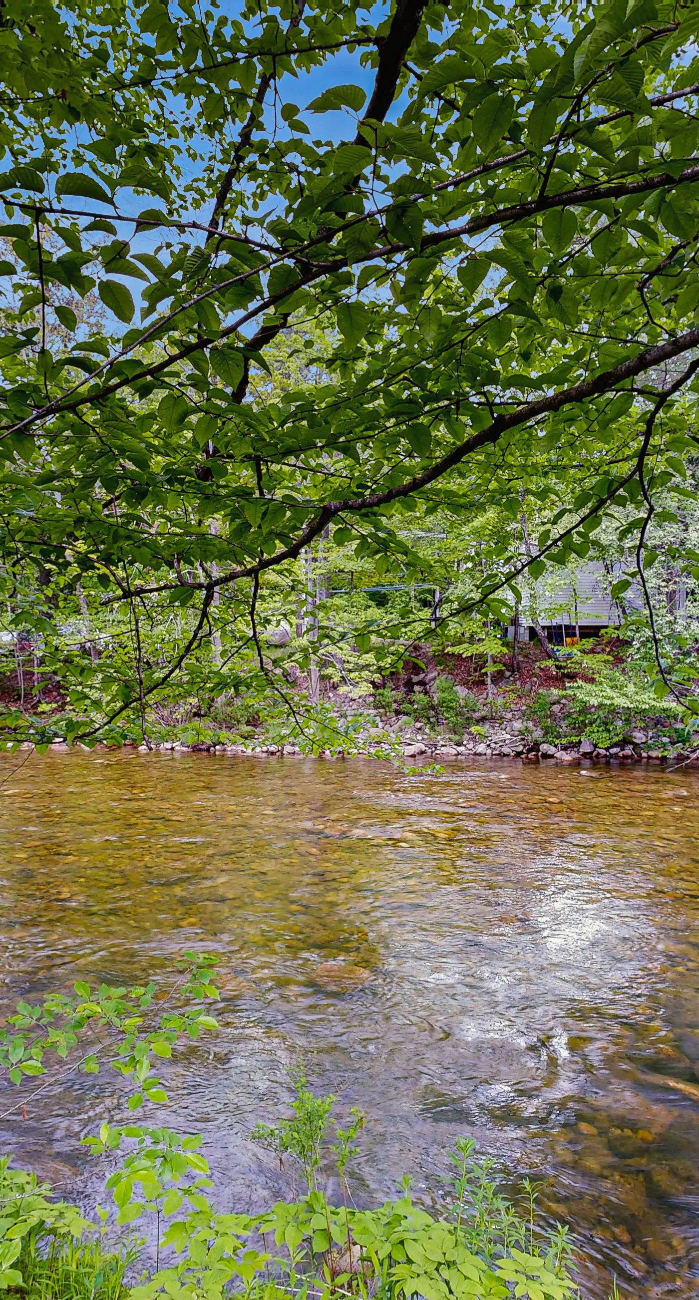 Riverbank Motel Room #2