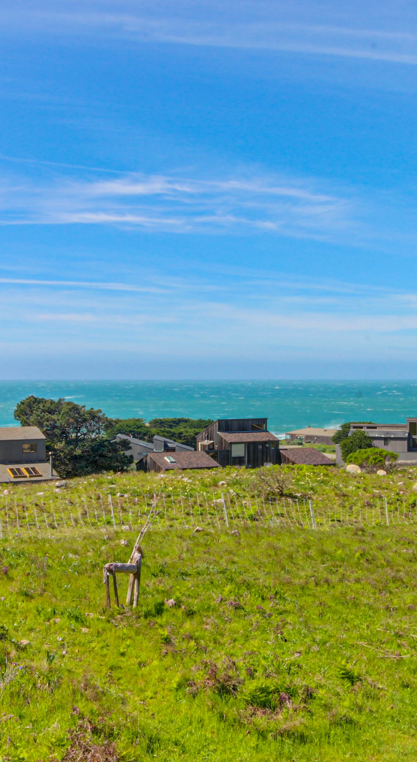Gaze at breathtaking ocean views from the deck, where the horizon meets the lush greenery.