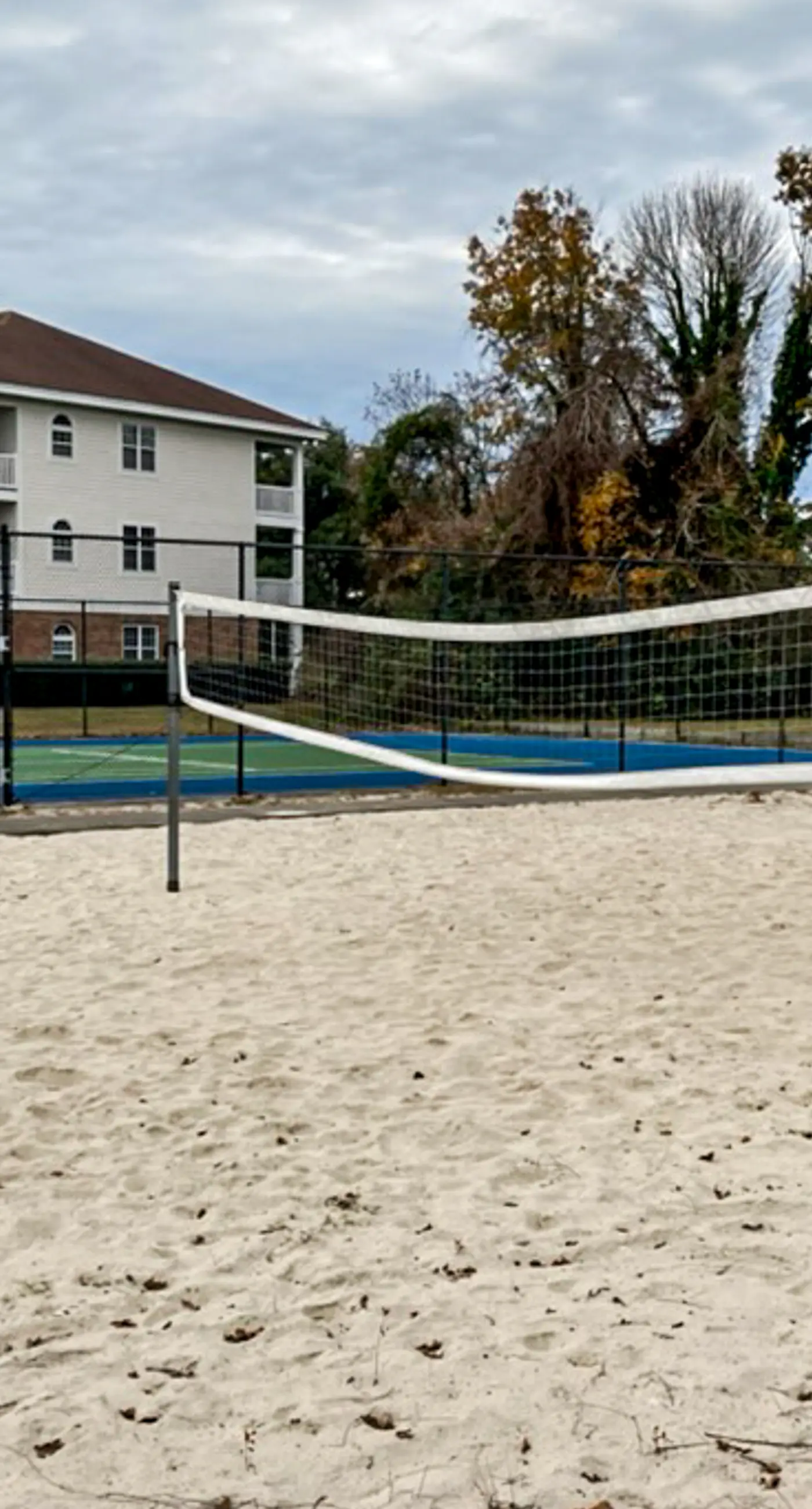 Ironwood - Turtle Beach