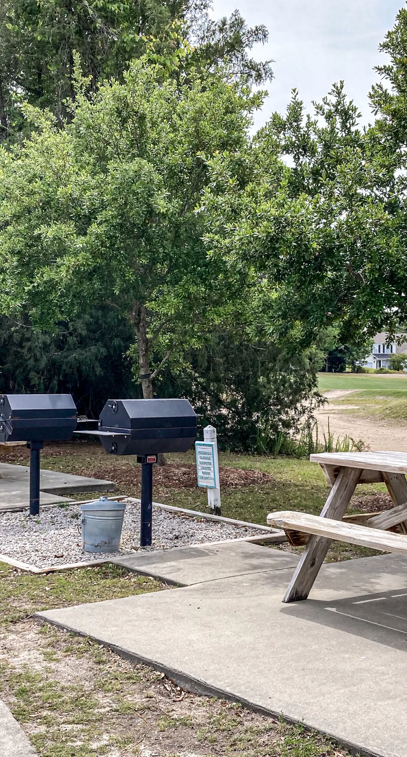 Ironwood - Turtle Beach