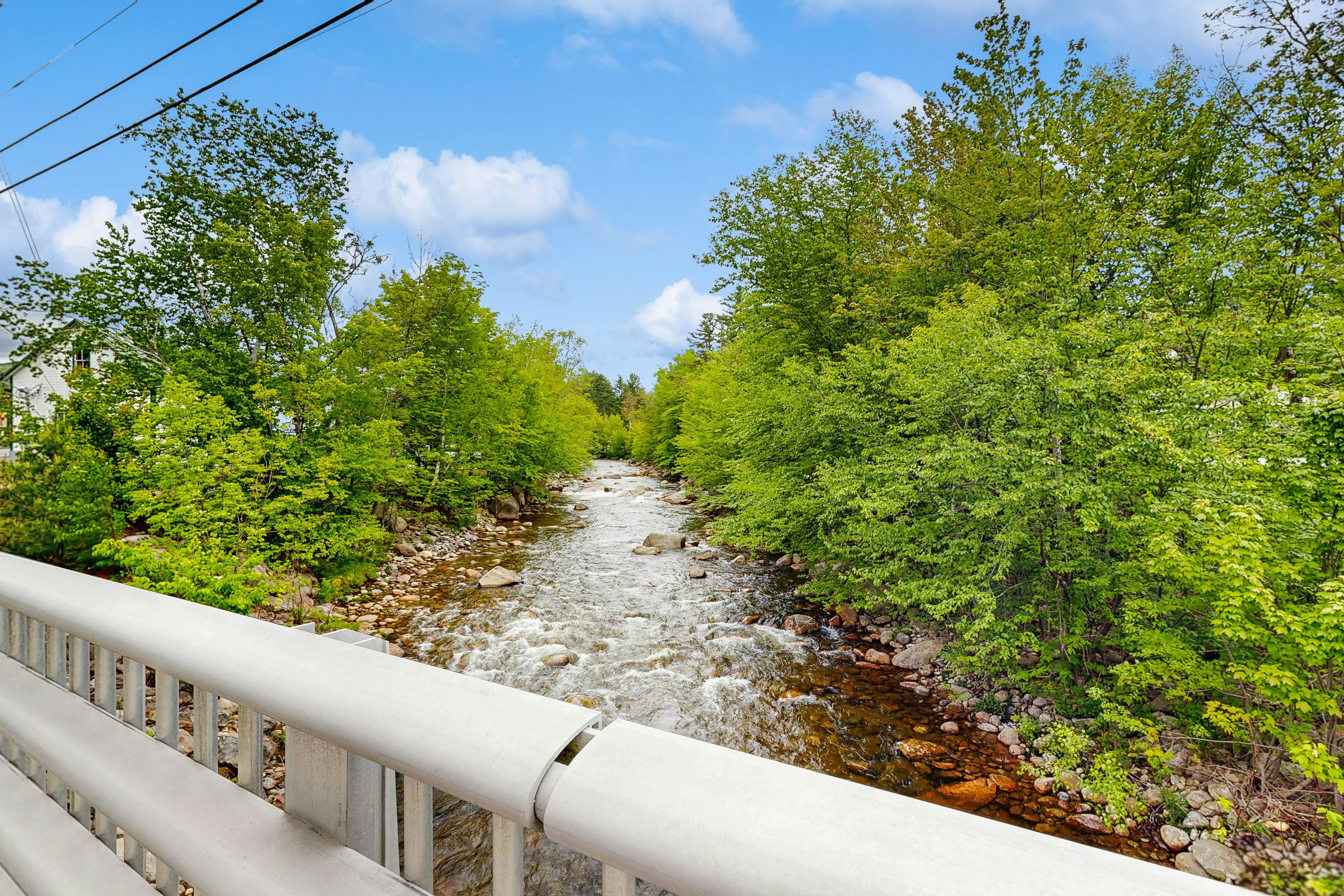 Riverbank Motel Room #5