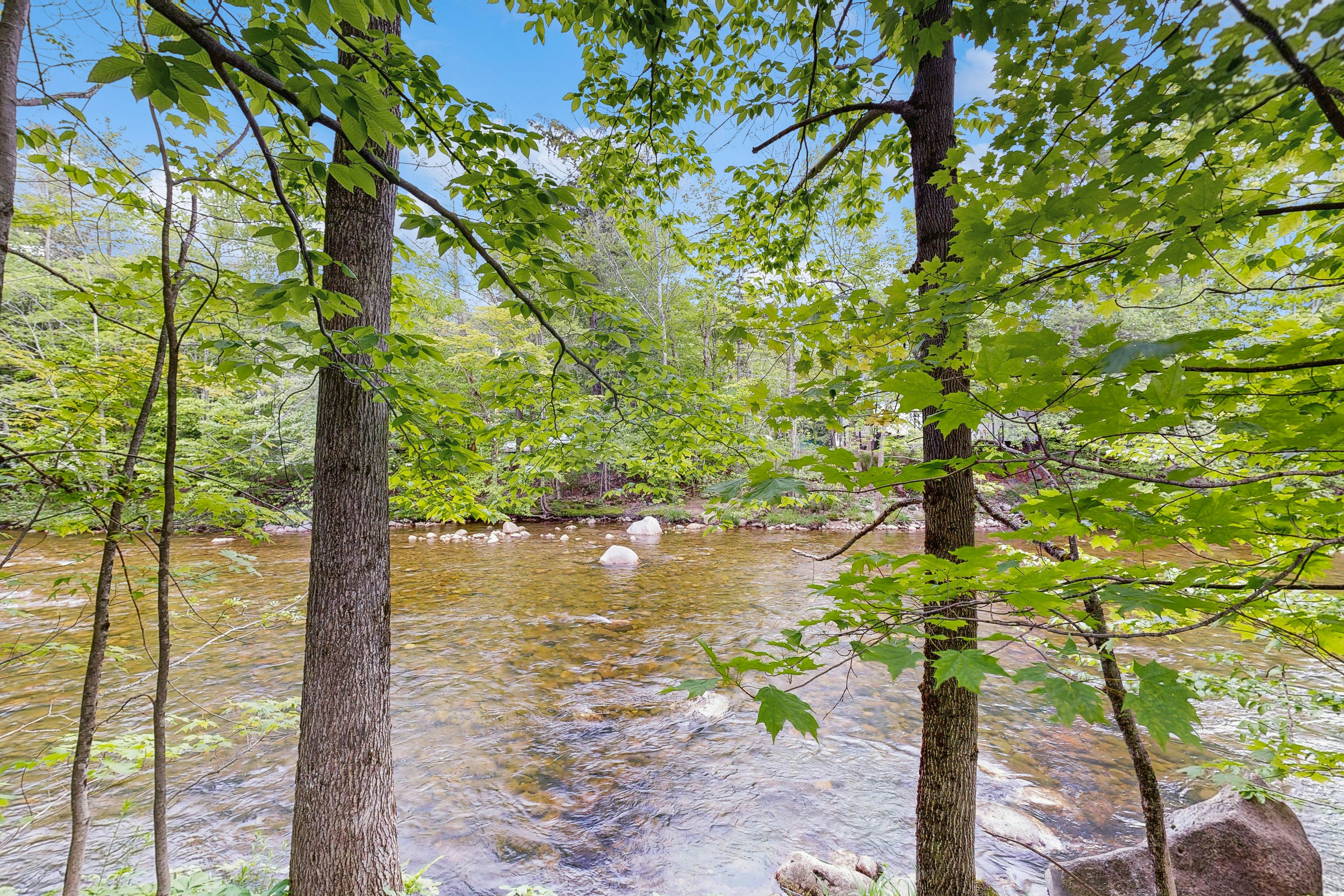 Riverbank Motel Room #5