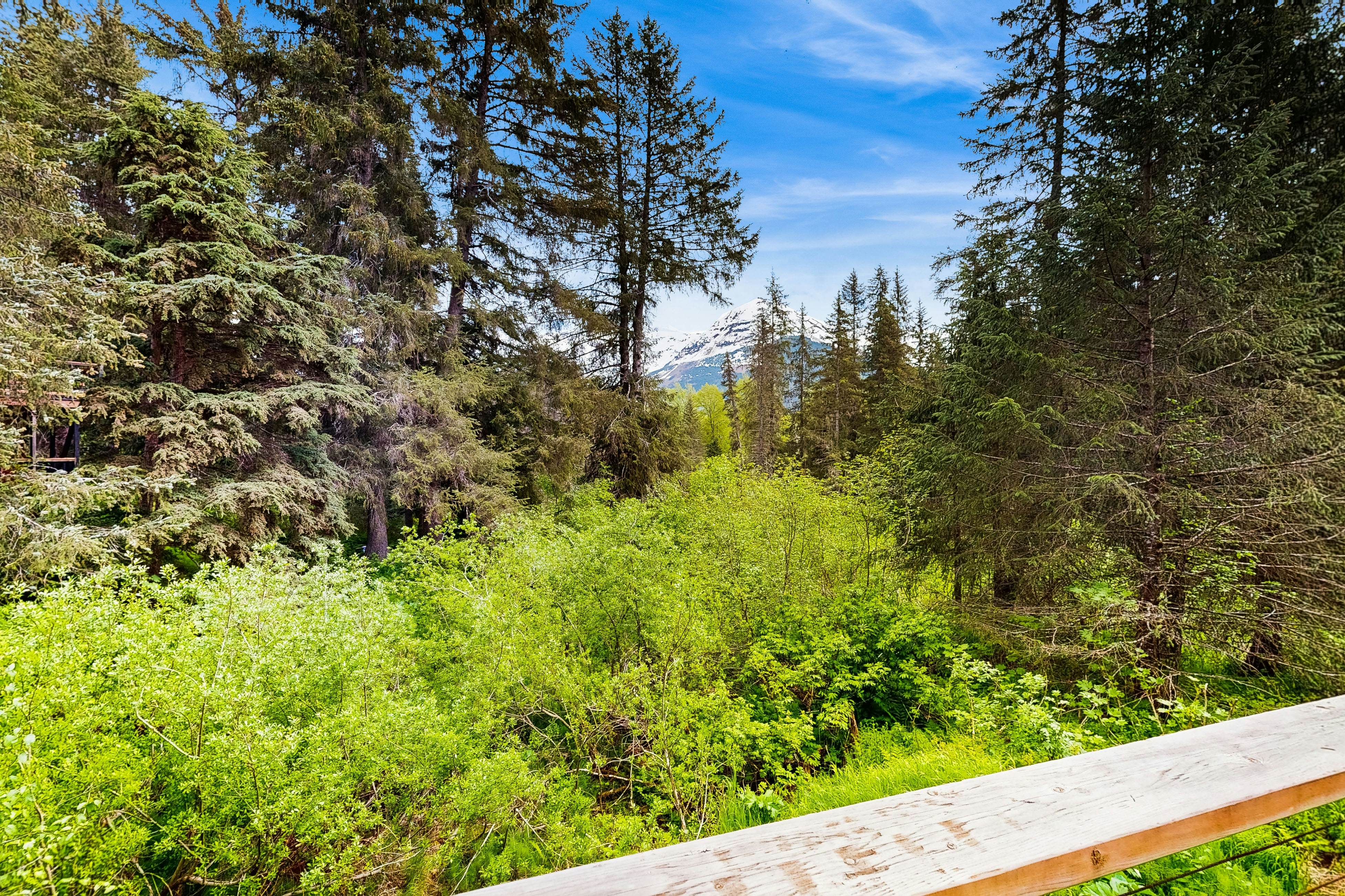 Girdwood Mountain House
