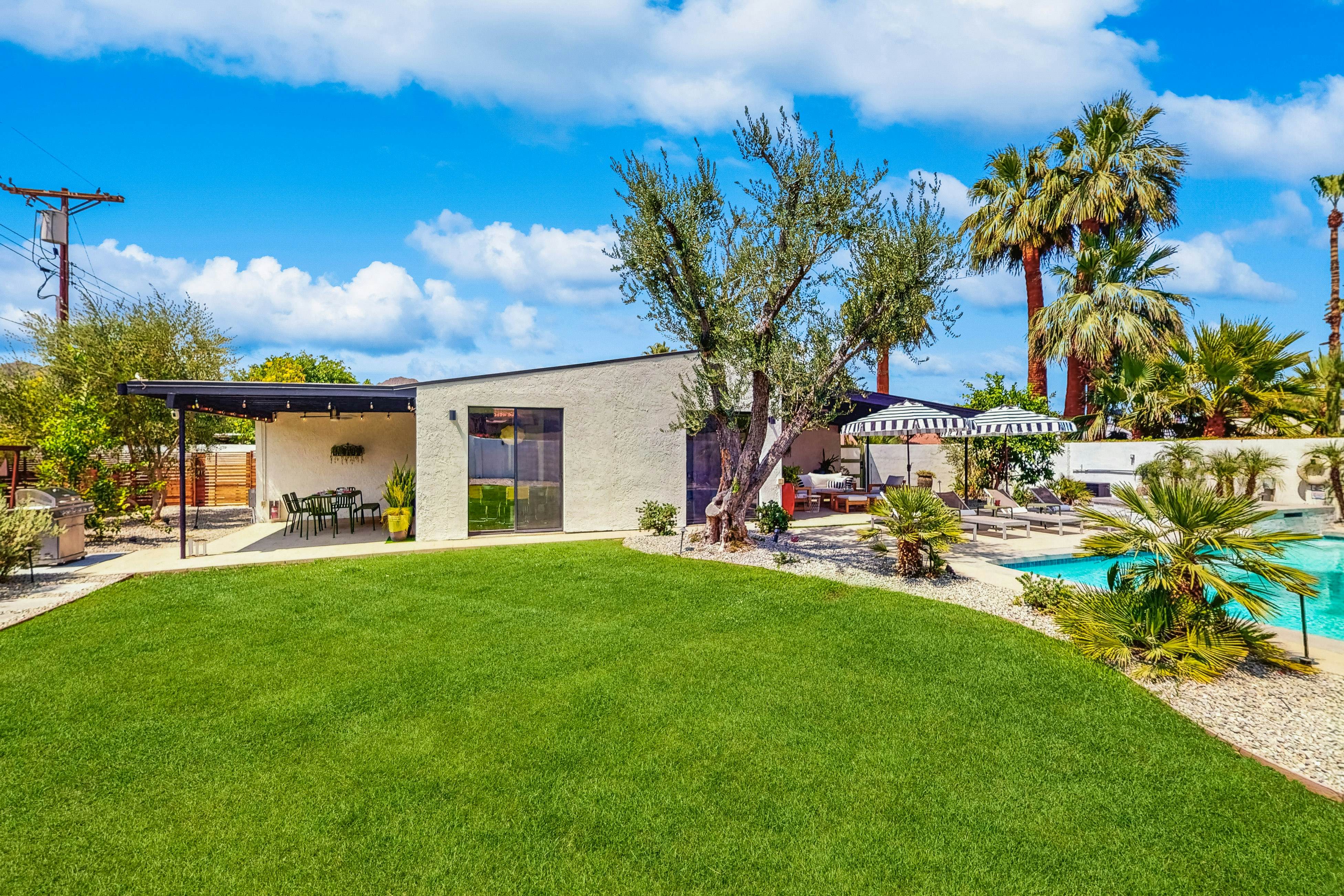 Jewel of the Desert - 259342