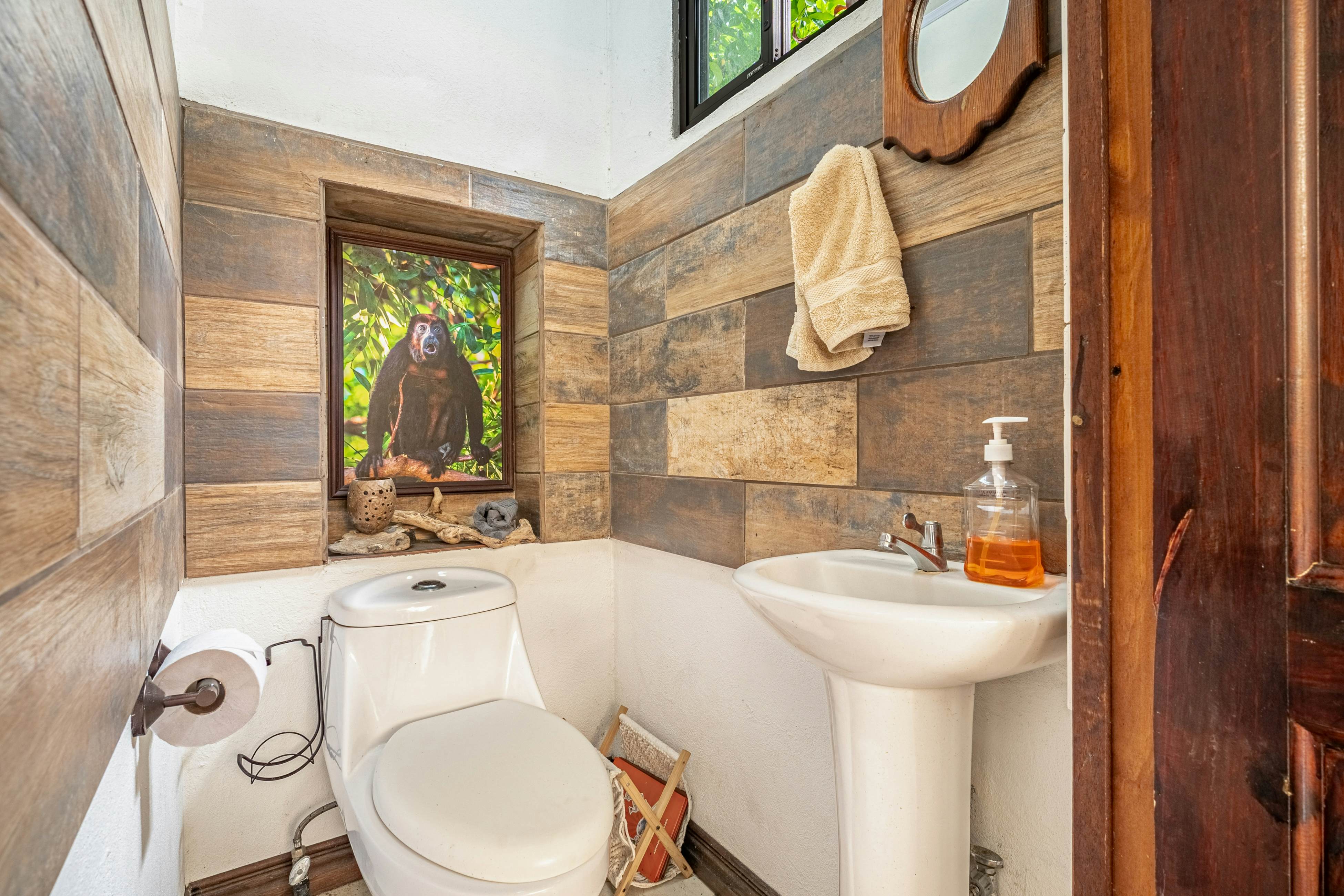 Tiburon Galano - Playa Carrillo