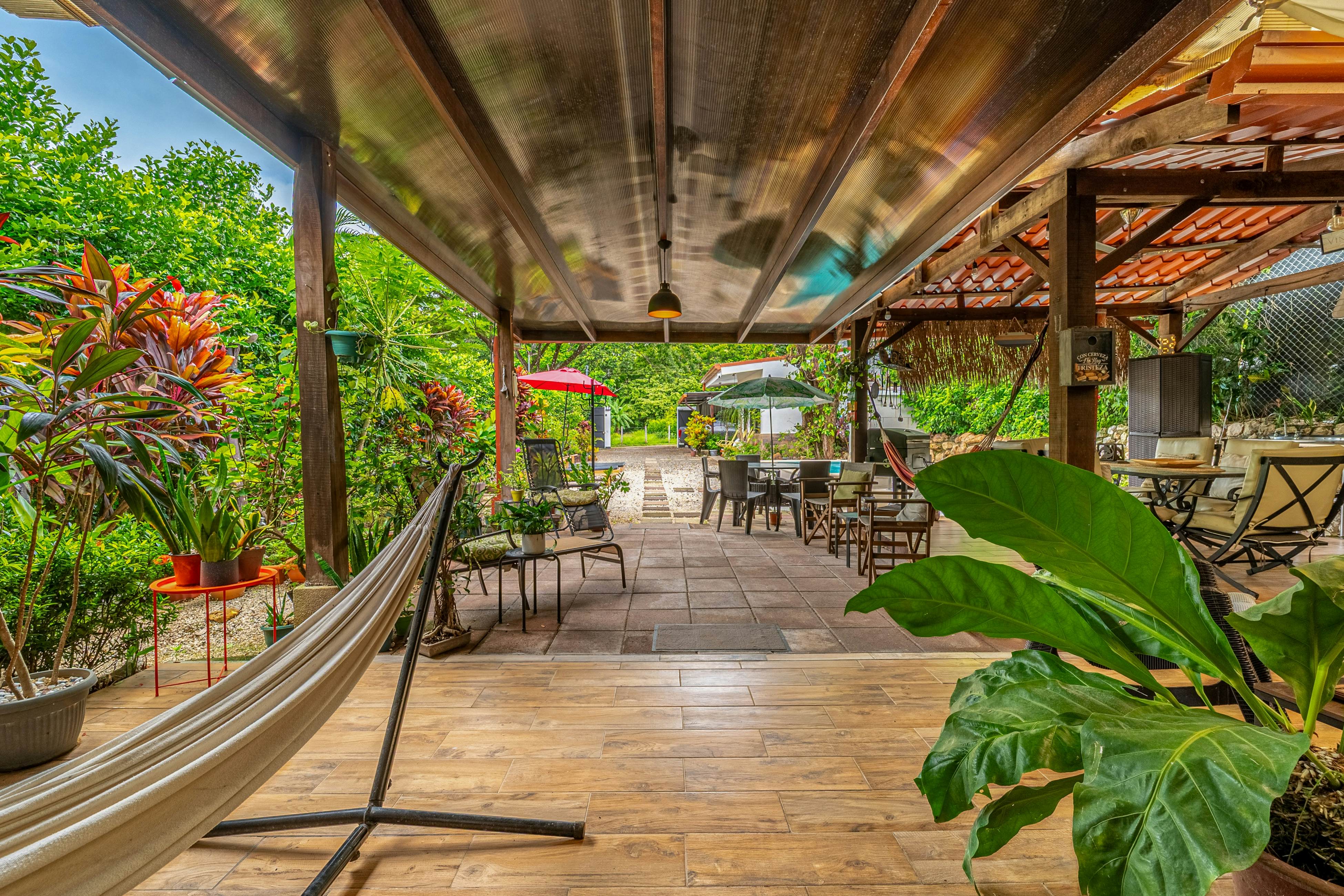 Tiburon Galano - Playa Carrillo