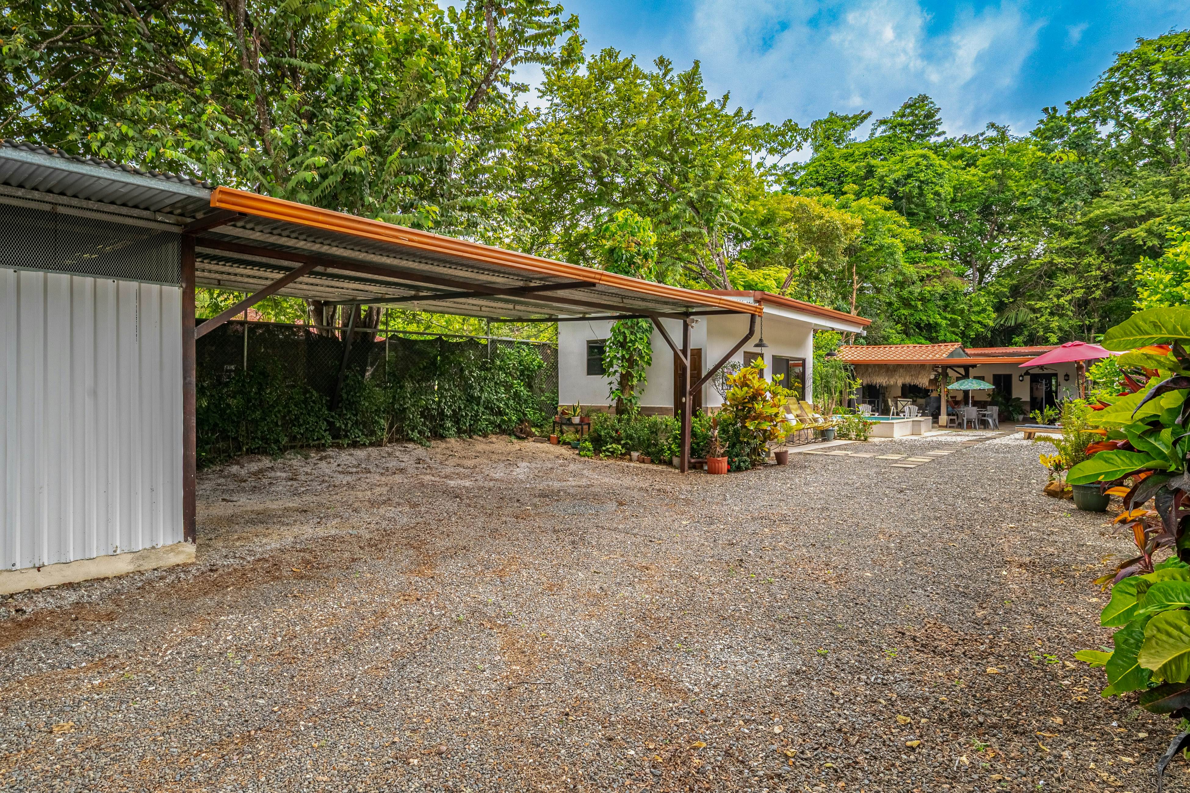 Tiburon Galano - Playa Carrillo