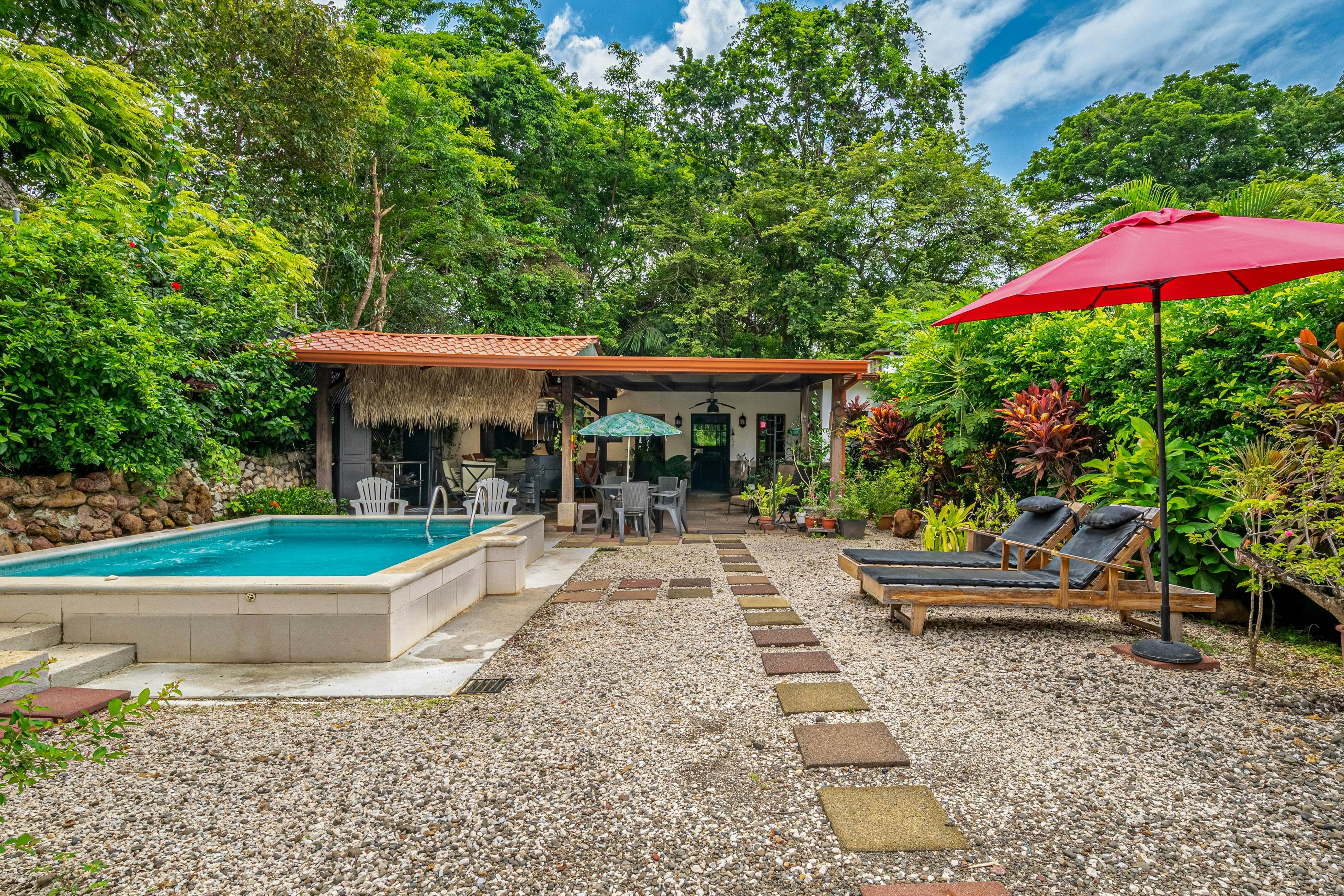 Tiburon Galano - Playa Carrillo