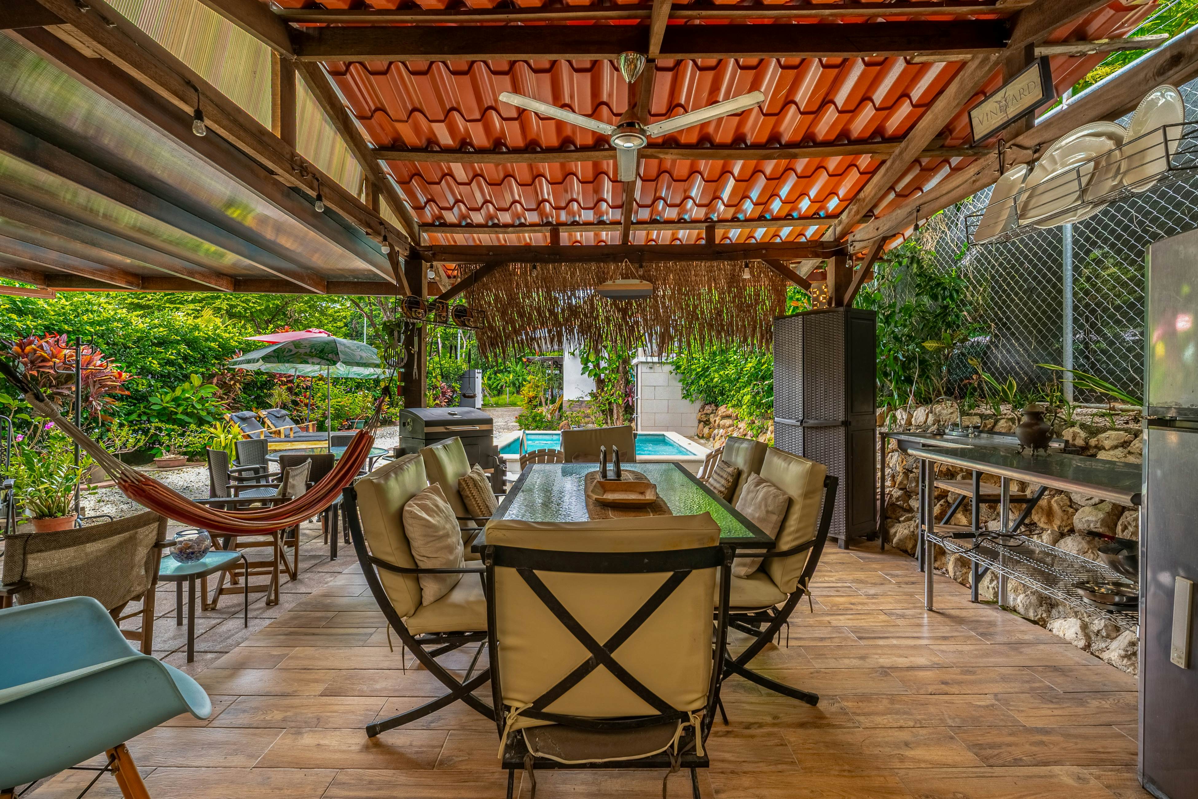 Tiburon Galano - Playa Carrillo