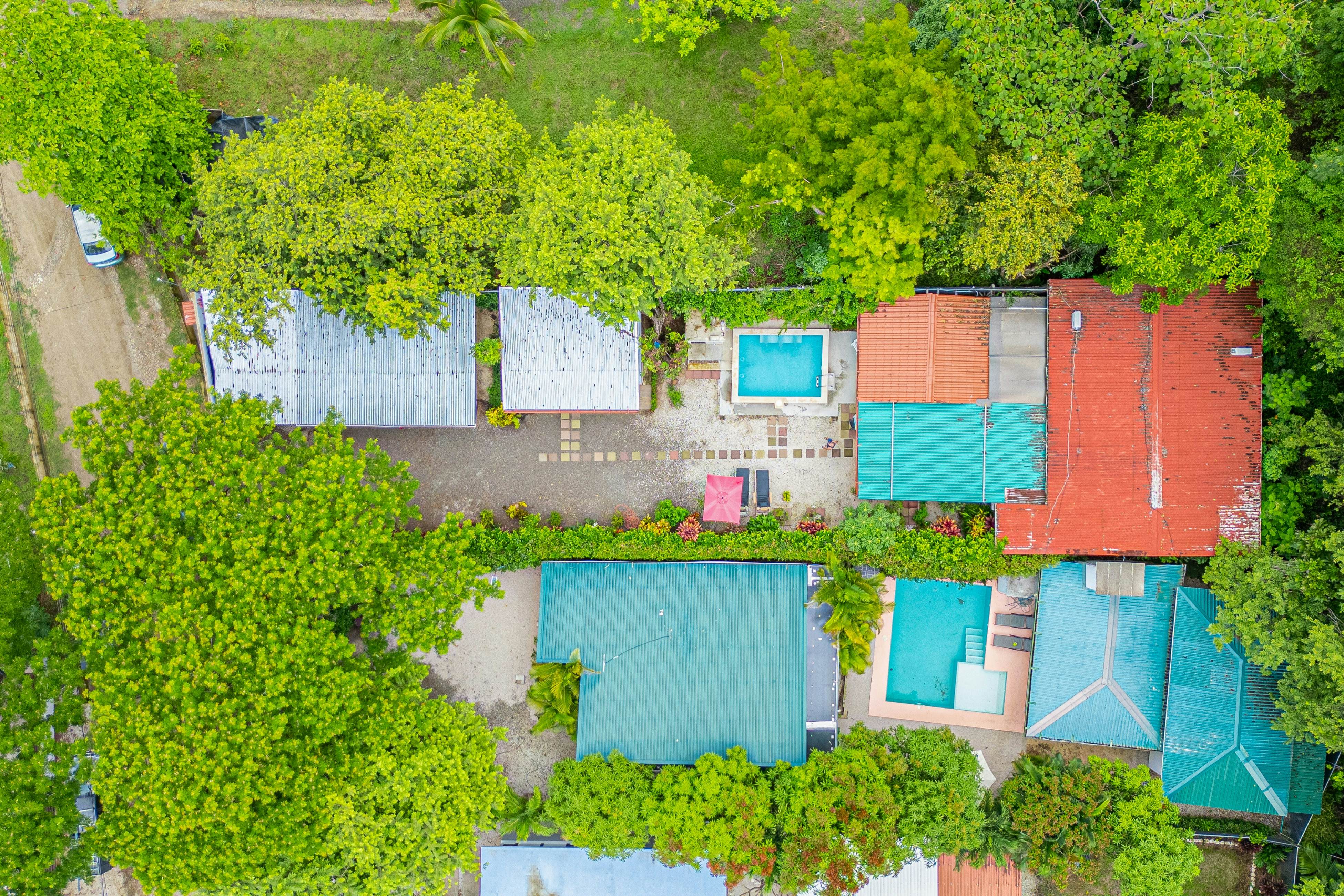 Tiburon Galano - Playa Carrillo
