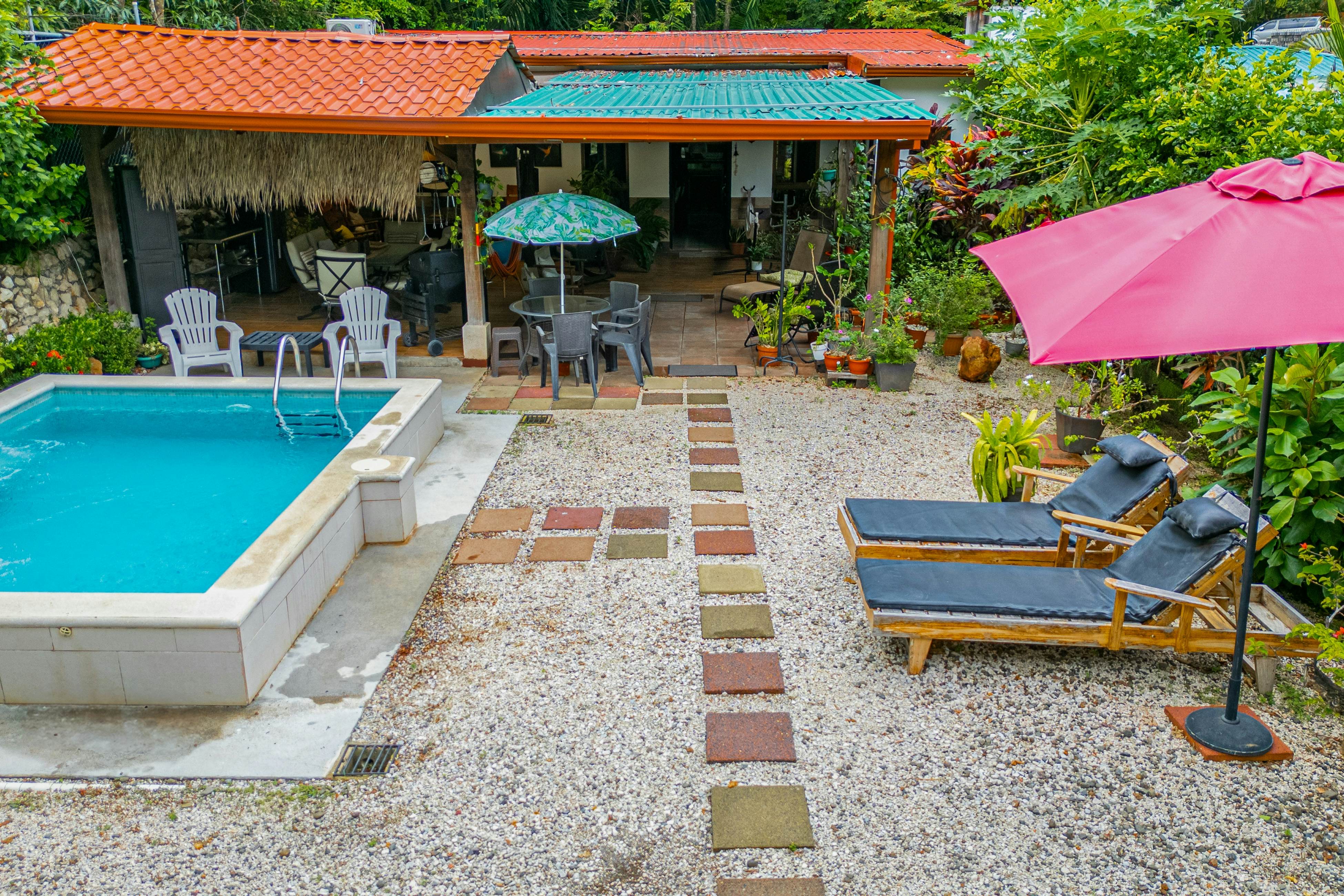 Tiburon Galano - Playa Carrillo