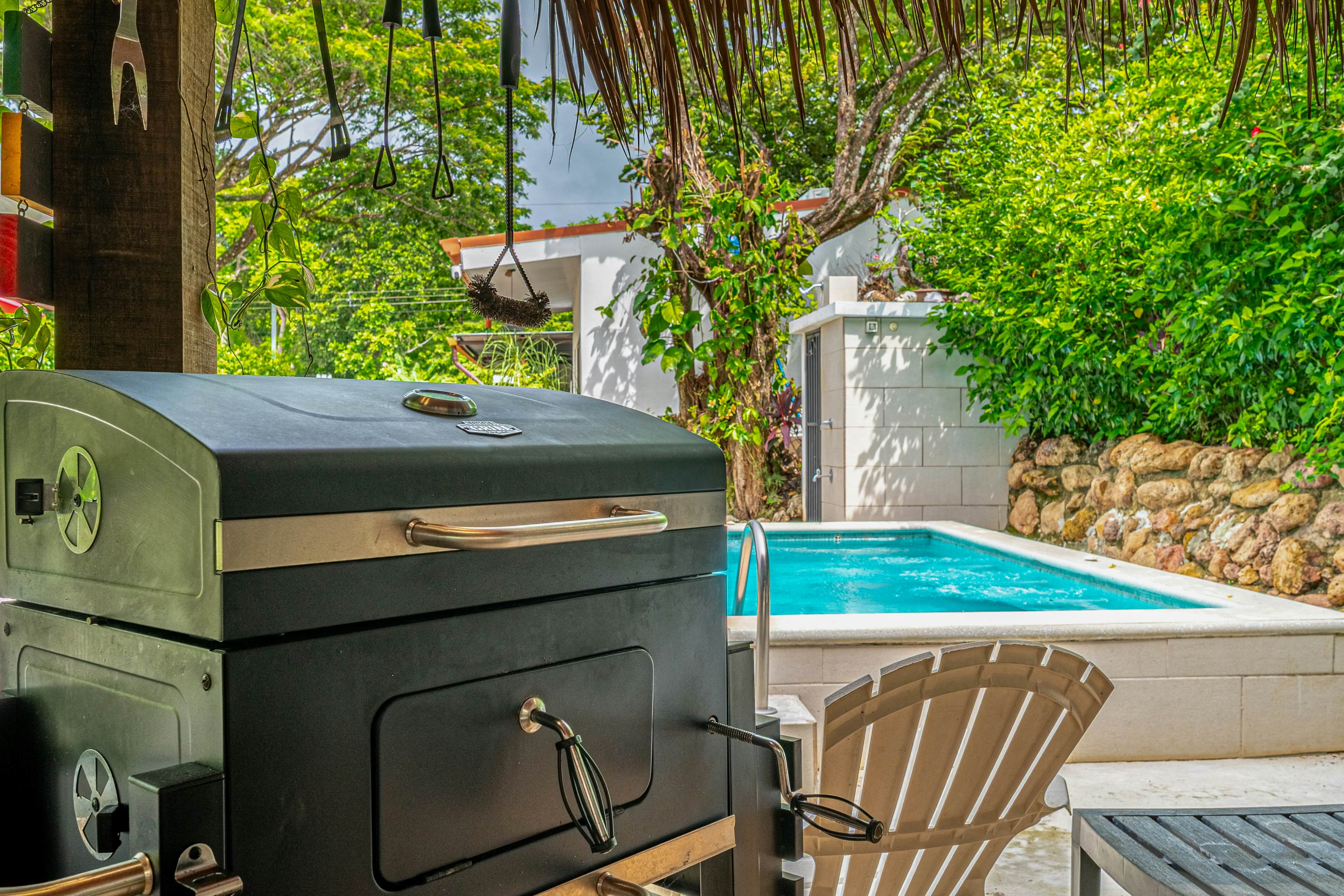 Tiburon Galano - Playa Carrillo