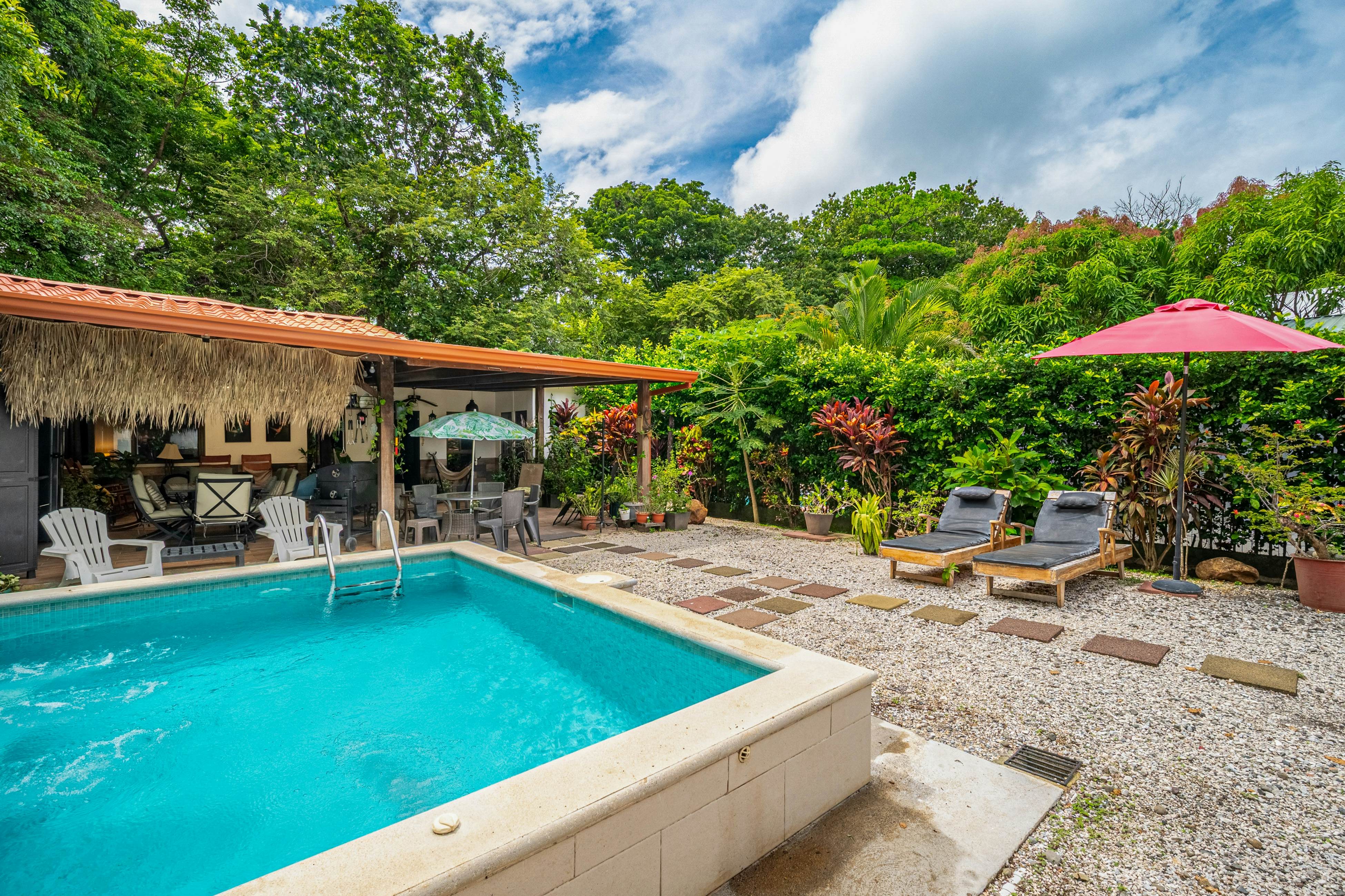 Tiburon Galano - Playa Carrillo