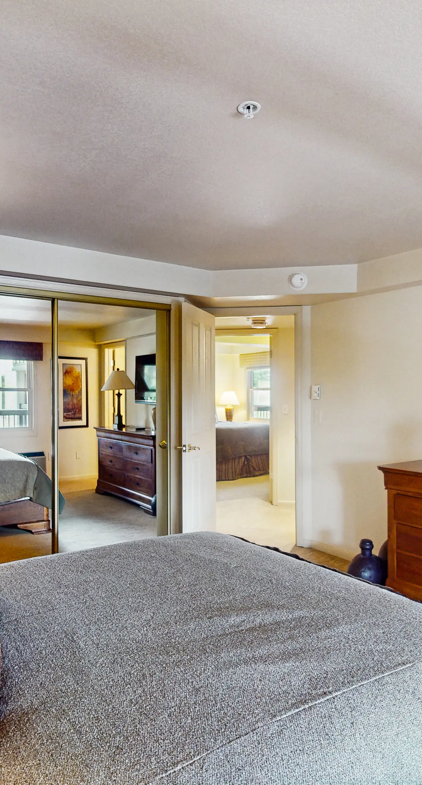 Torian Plum Plaza 403 