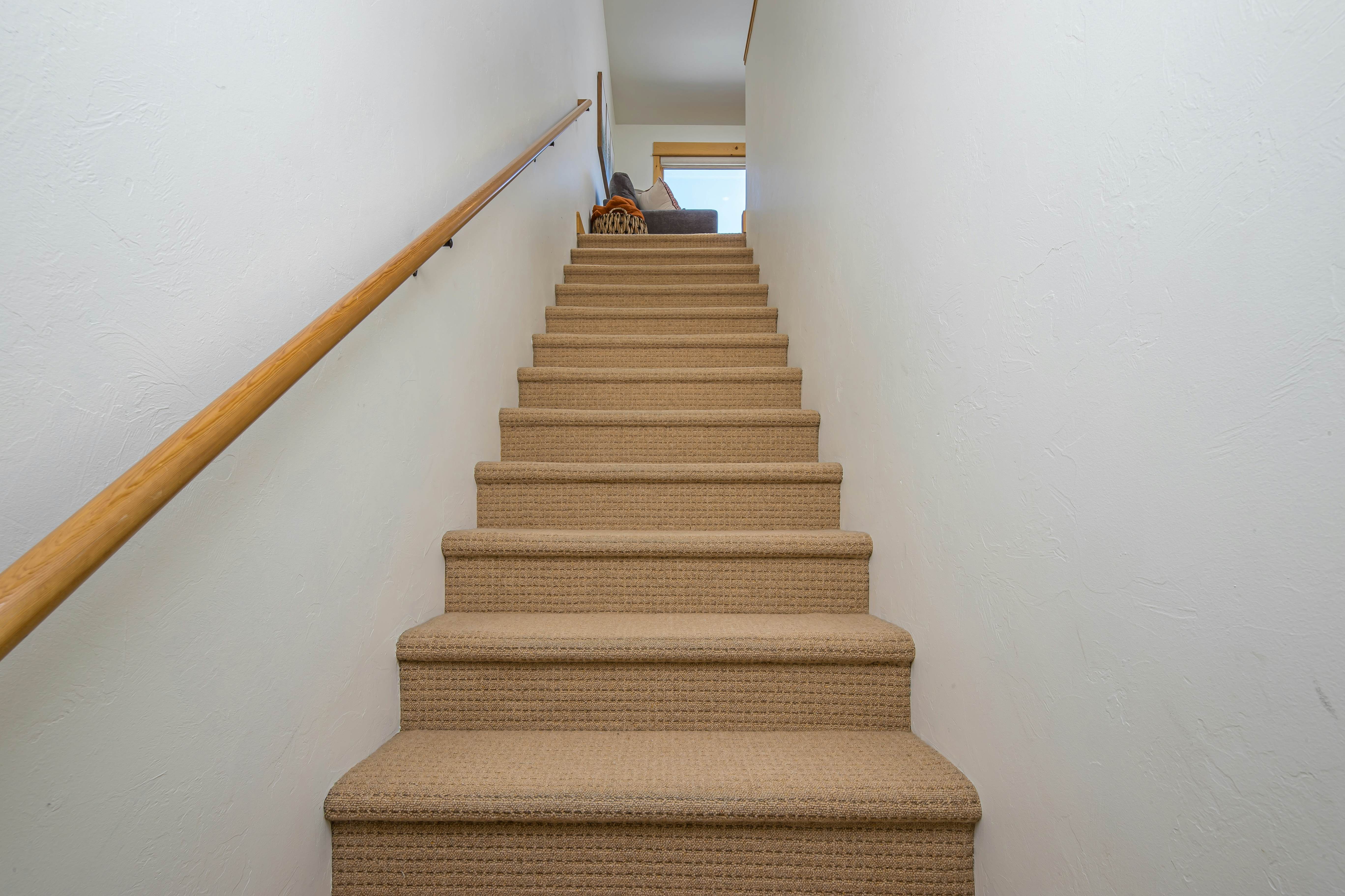 Moose Crossing at Town Center