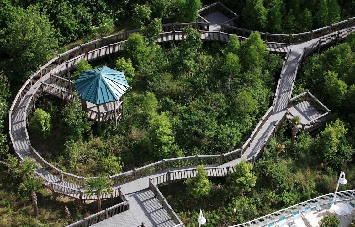 Blue Heron Beach Resort 2-1001