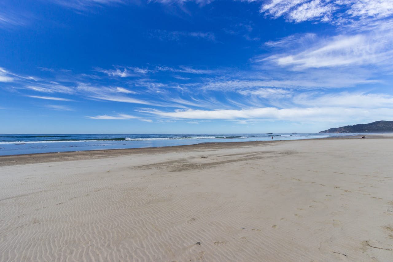 Beverly Beach Whale Lookout 1 BD Vacation Rental in Newport, OR Vacasa