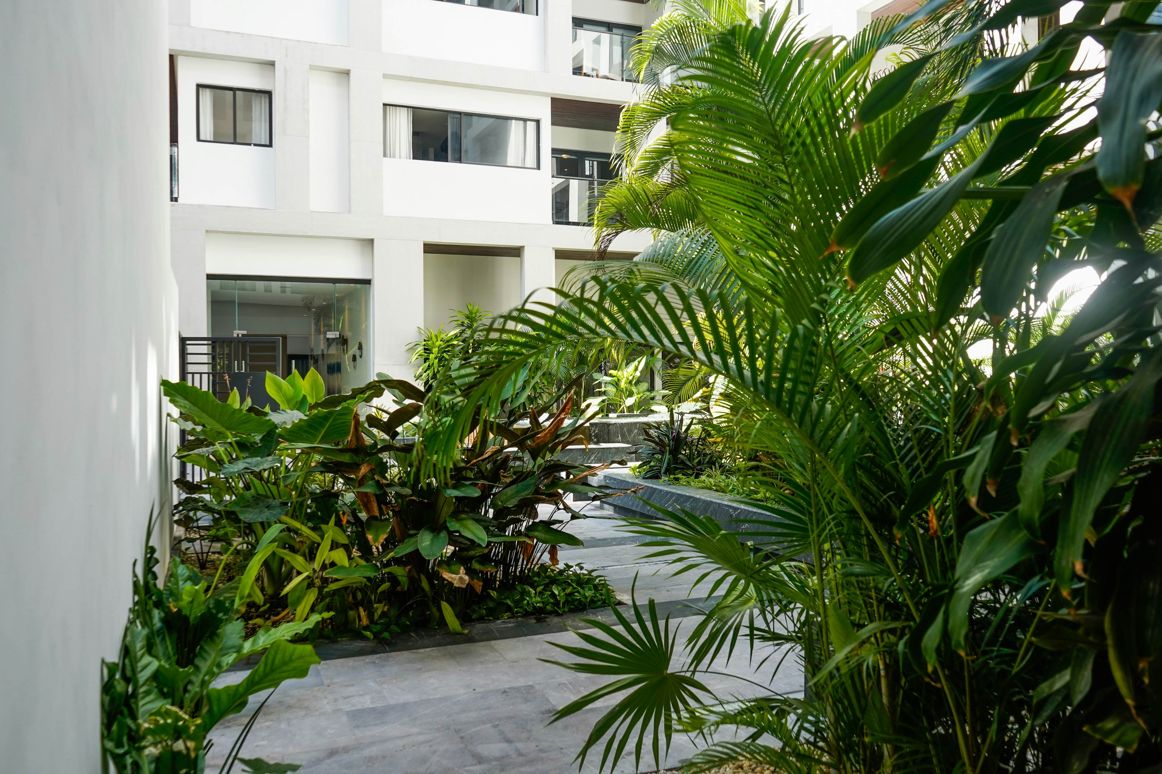 Luna de Arena at Ipana