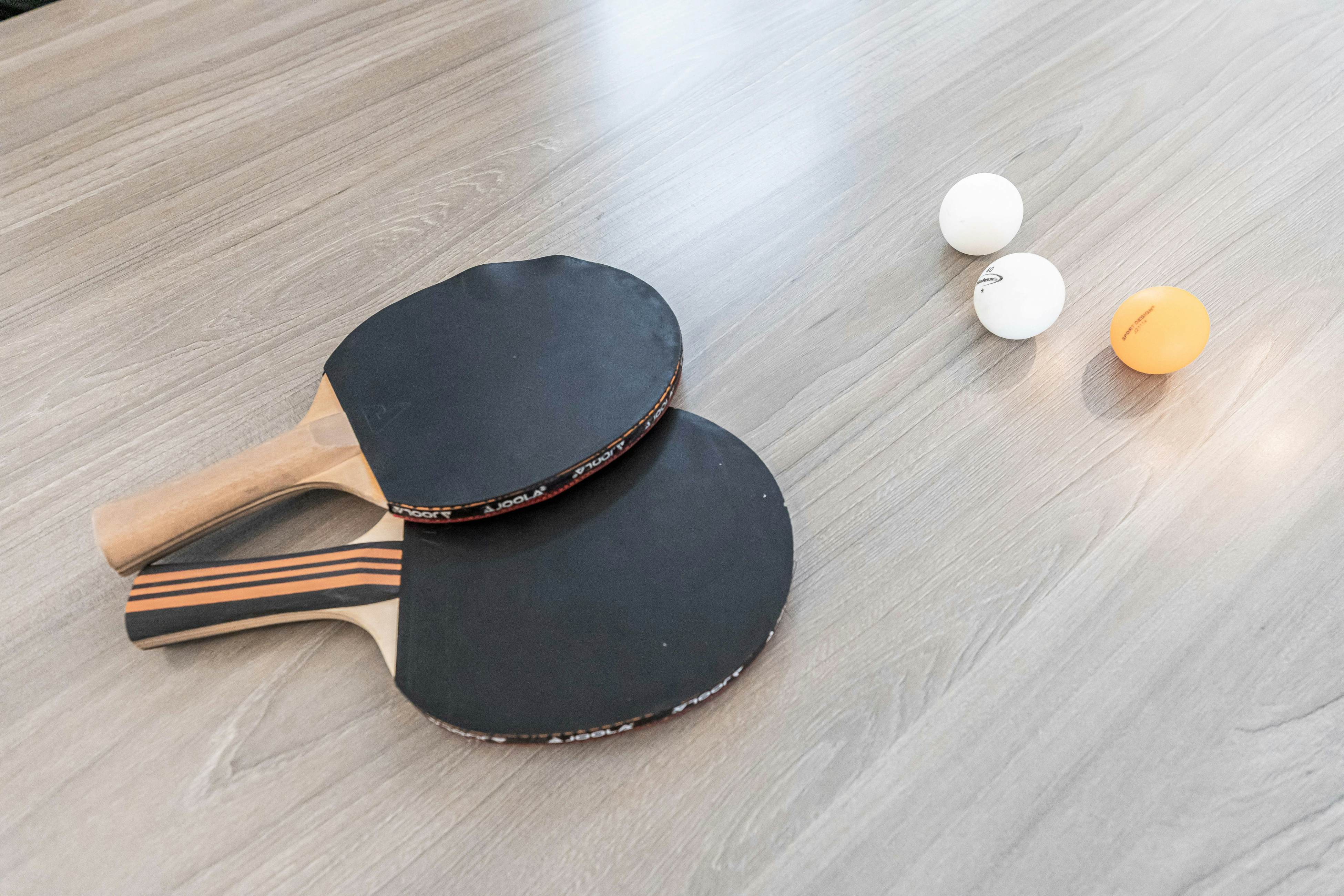 Marco Island Majesty