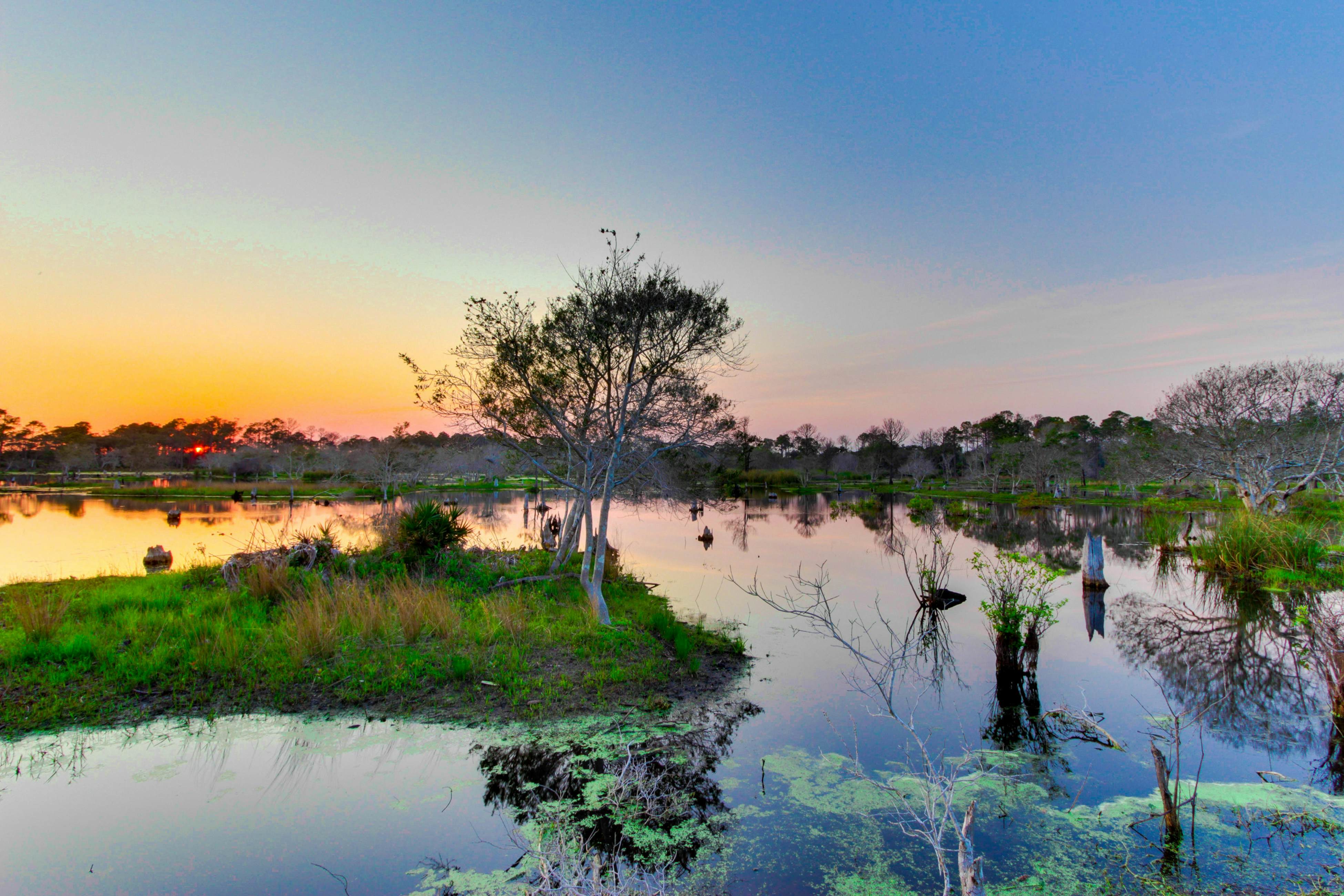 The Inn at St Thomas Square 201