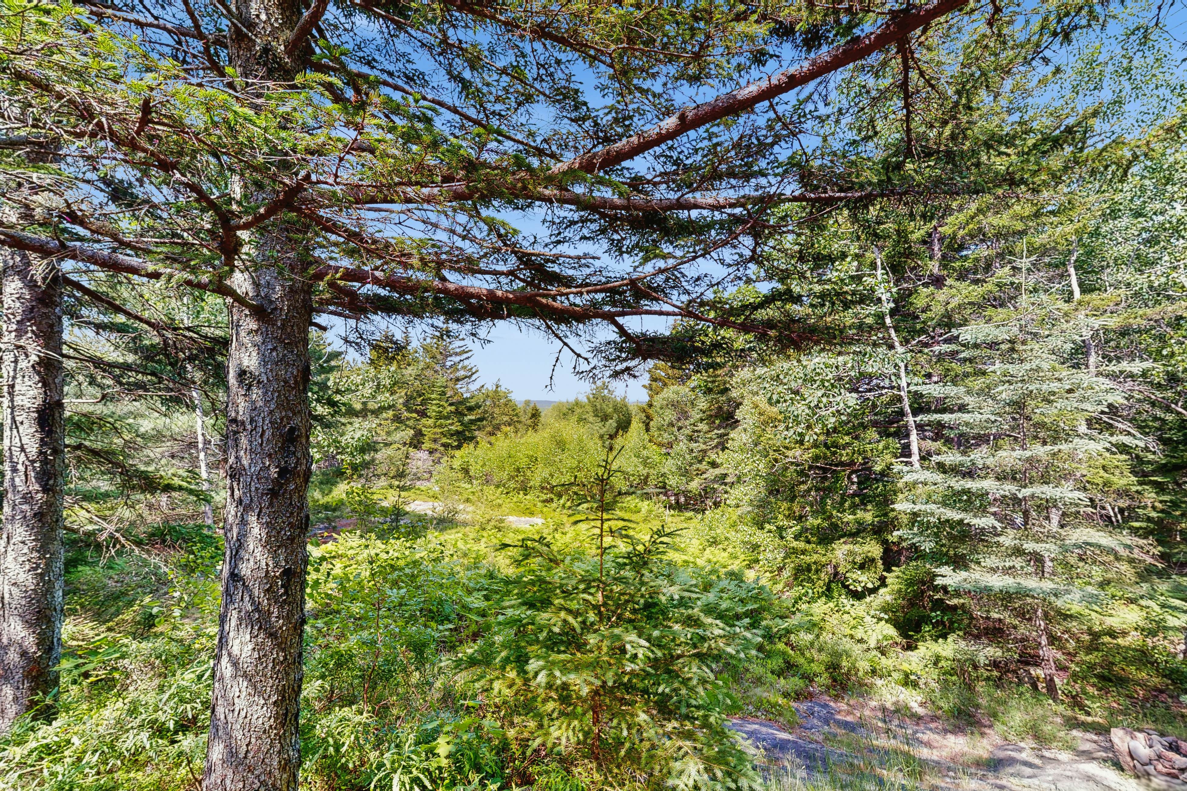 Sunset Point Mountaintop Cabin