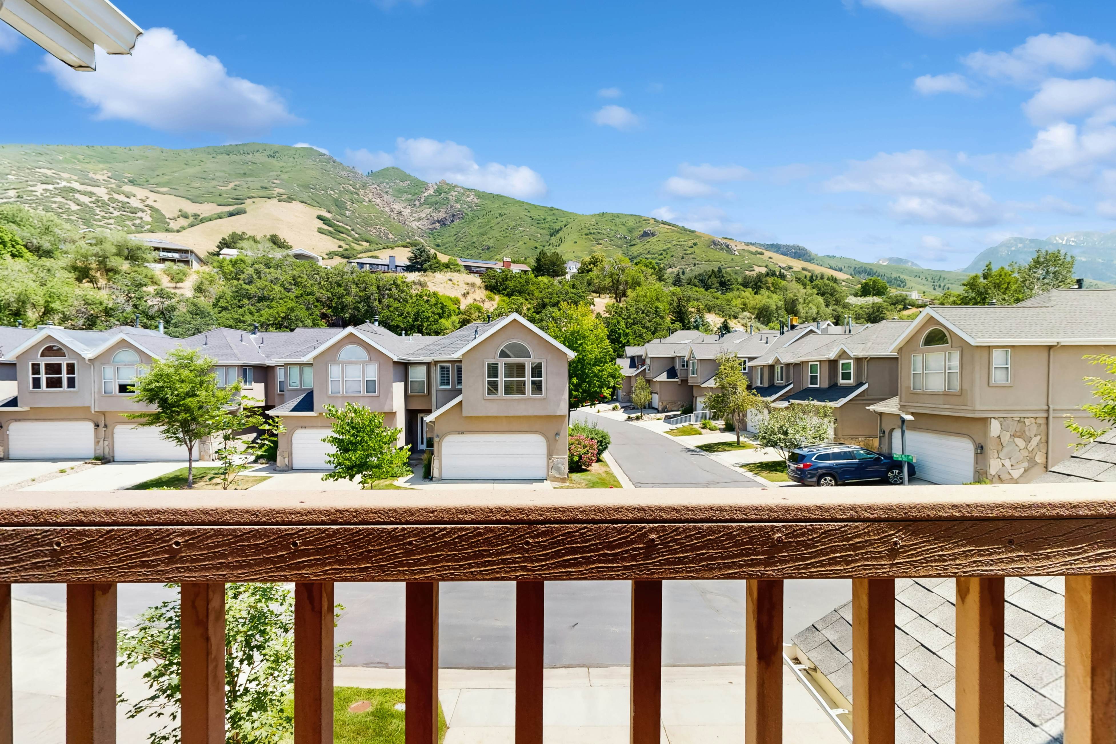 Skier's Four-Leaf Clover