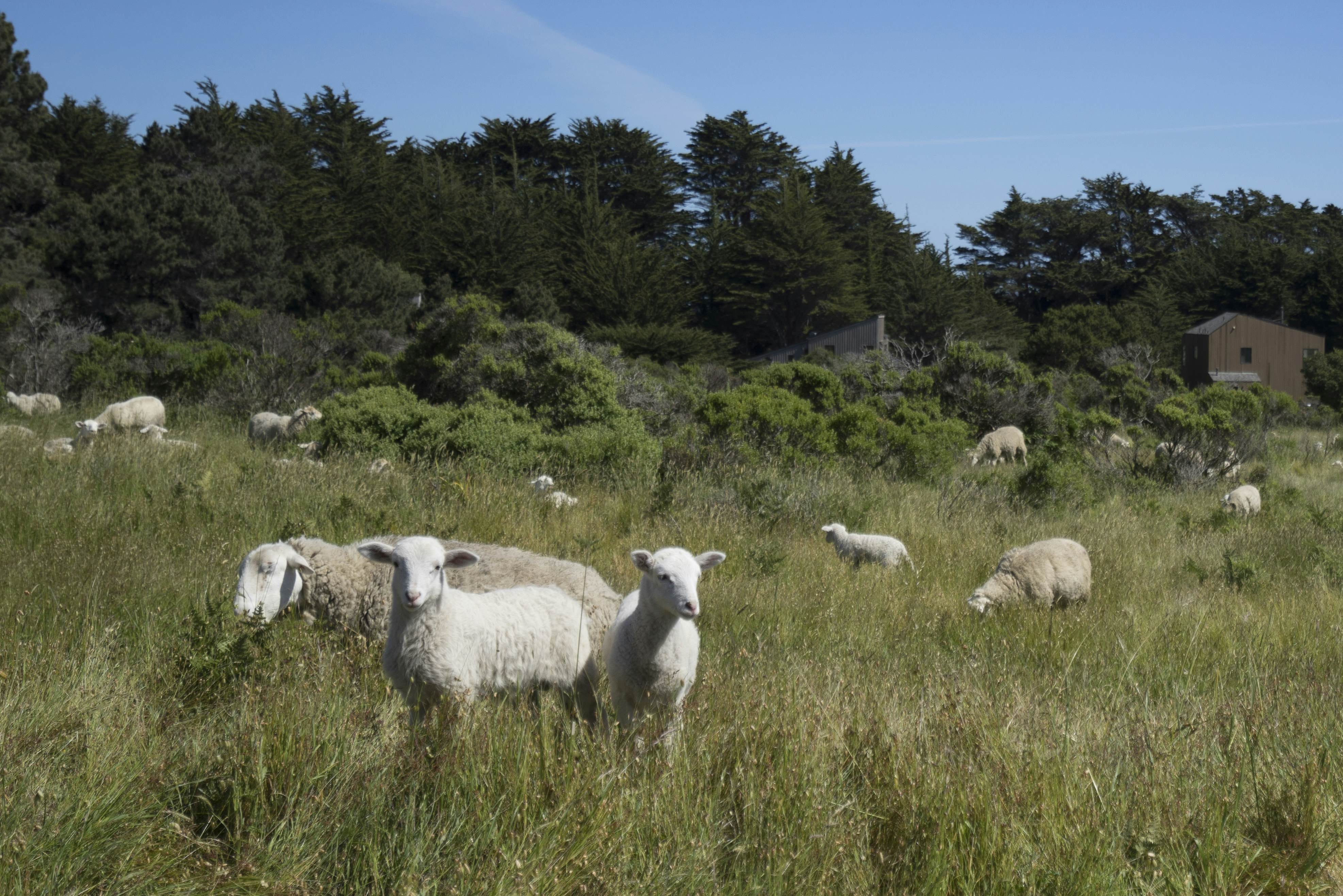 hidden image preload