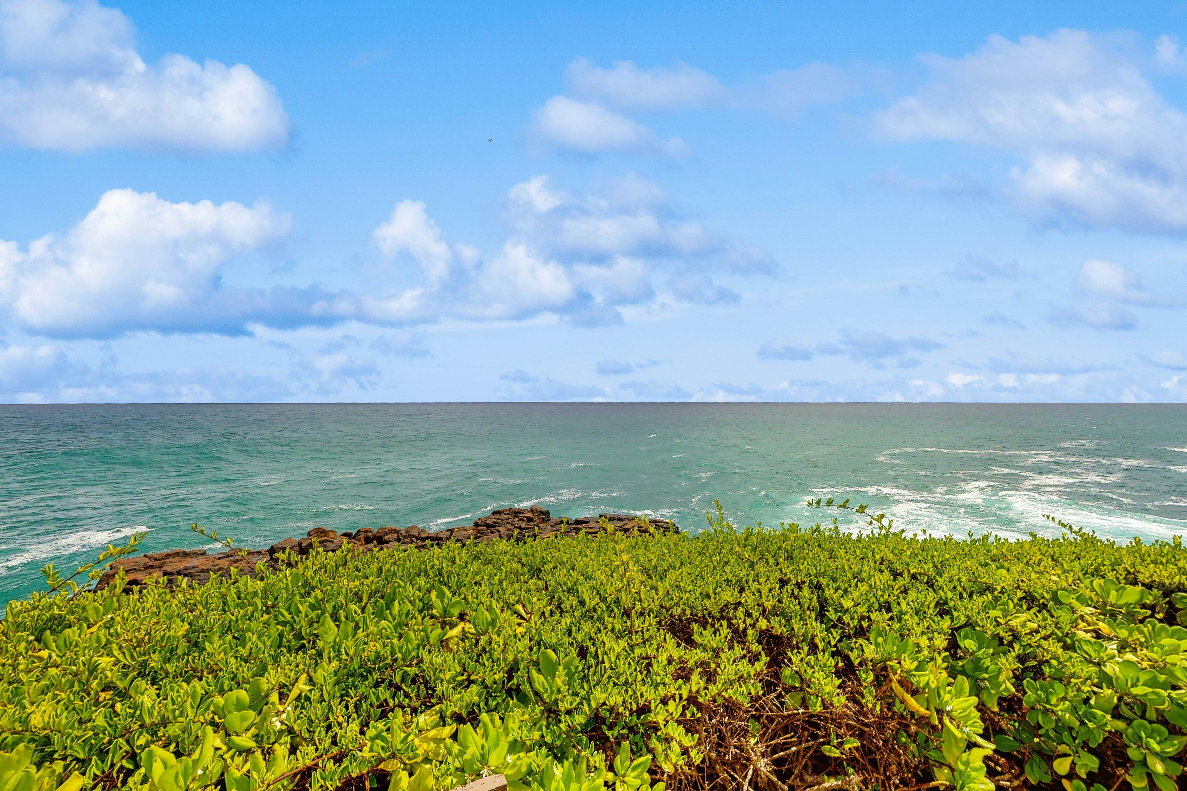 Making Makahuena Memories in 2204