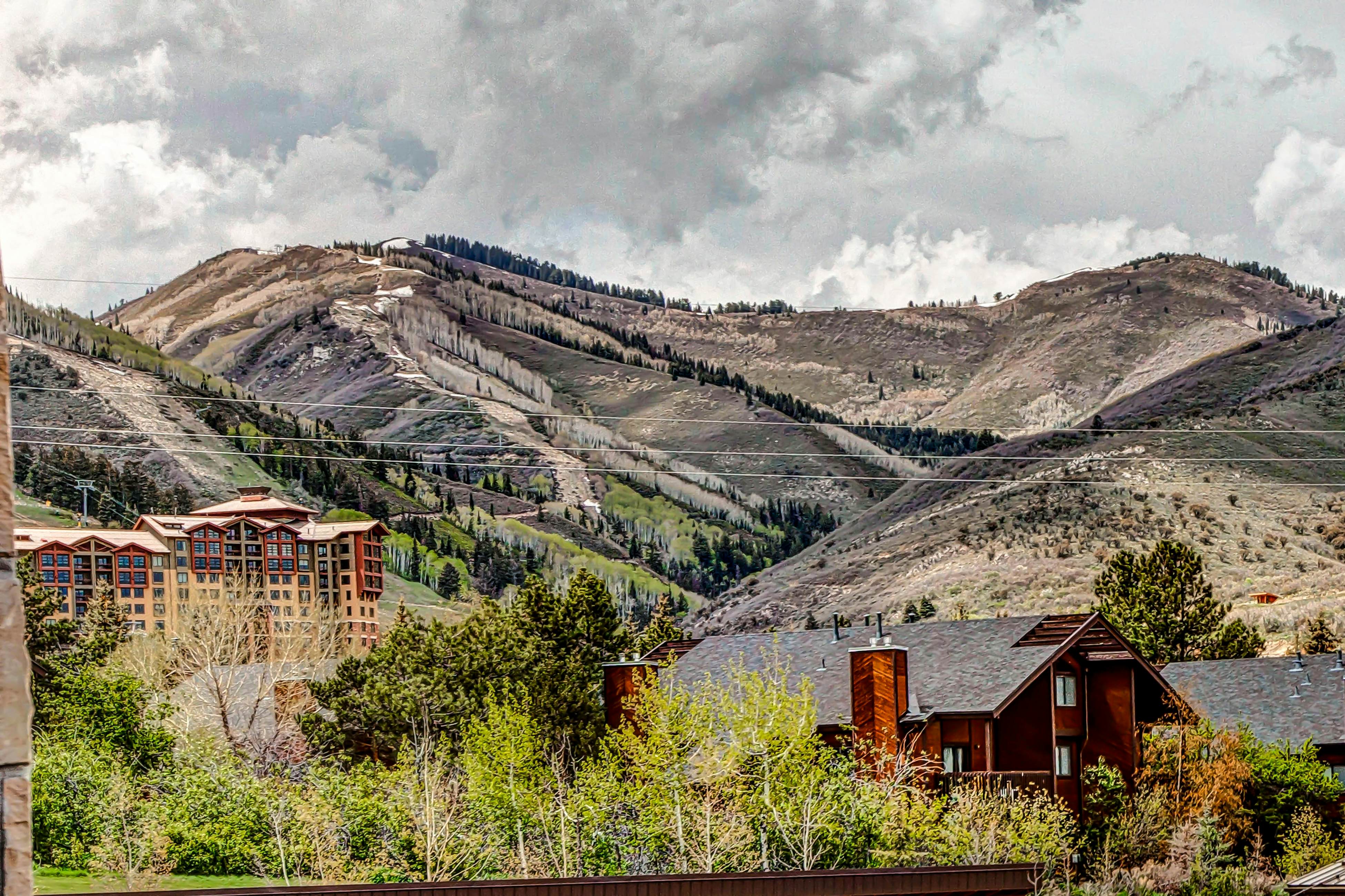 Serenity at Westgate #4401