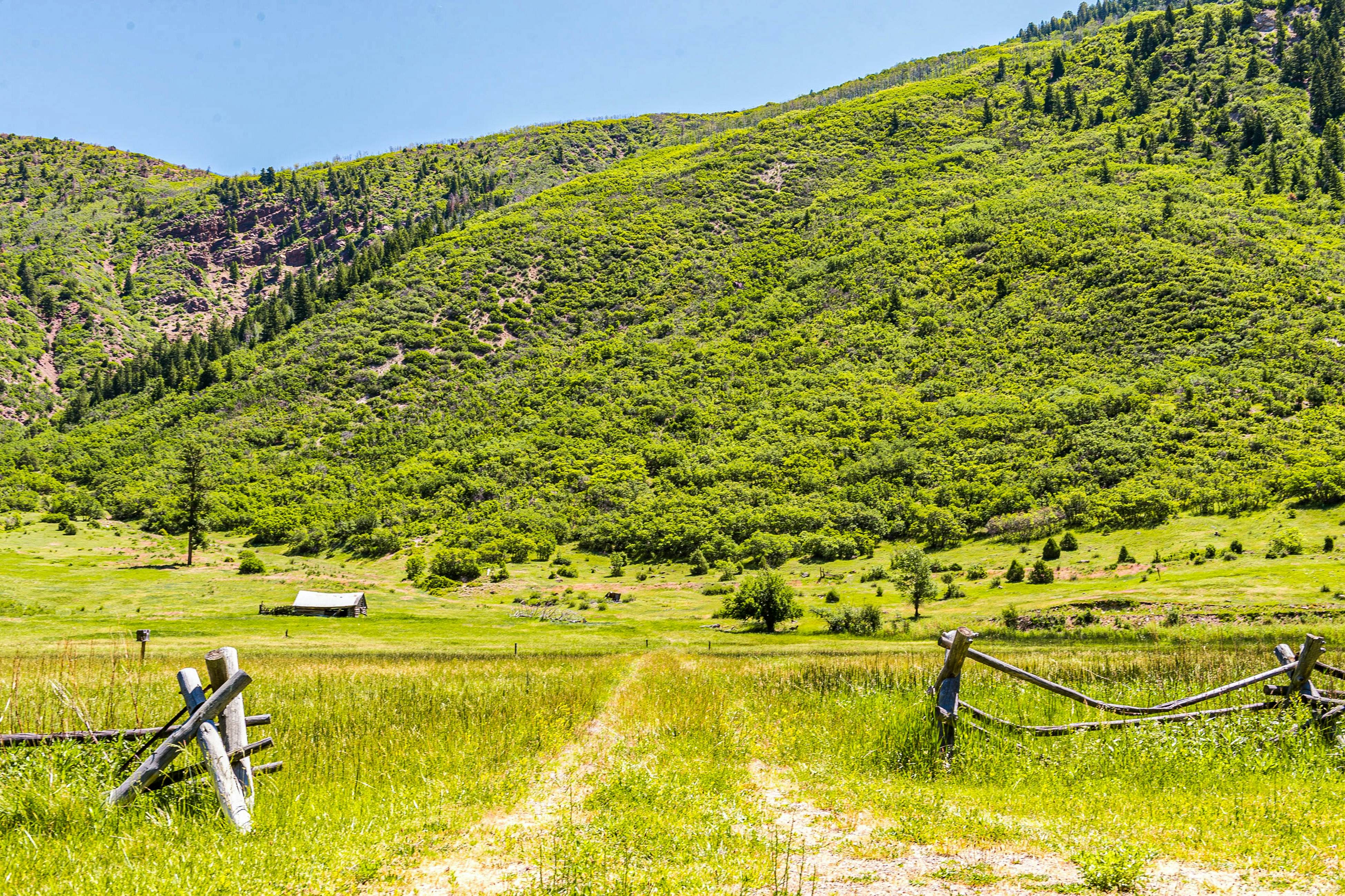 Elephant Mountain Cabin at Filoha Meadows