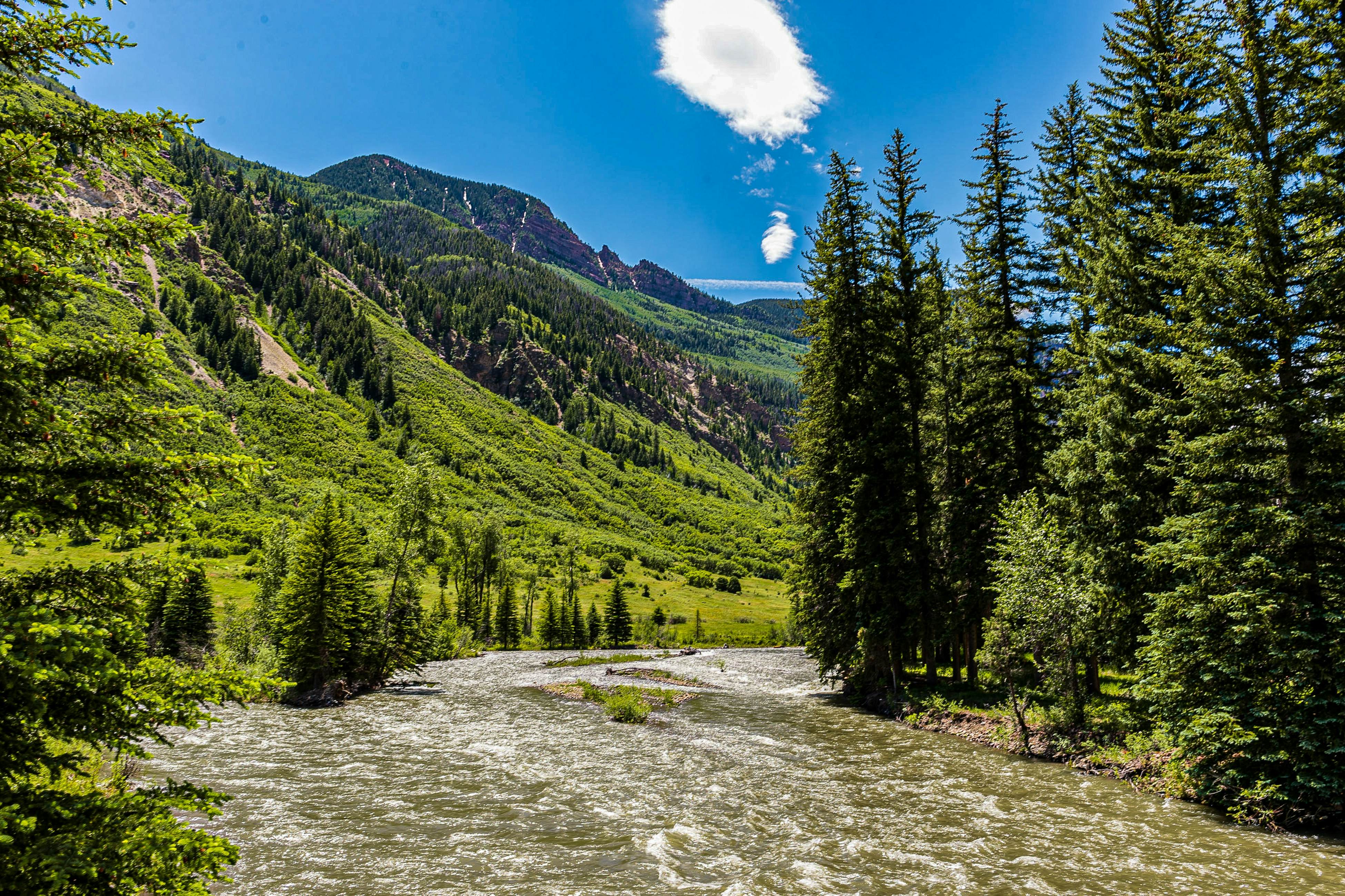 Elephant Mountain Cabin at Filoha Meadows
